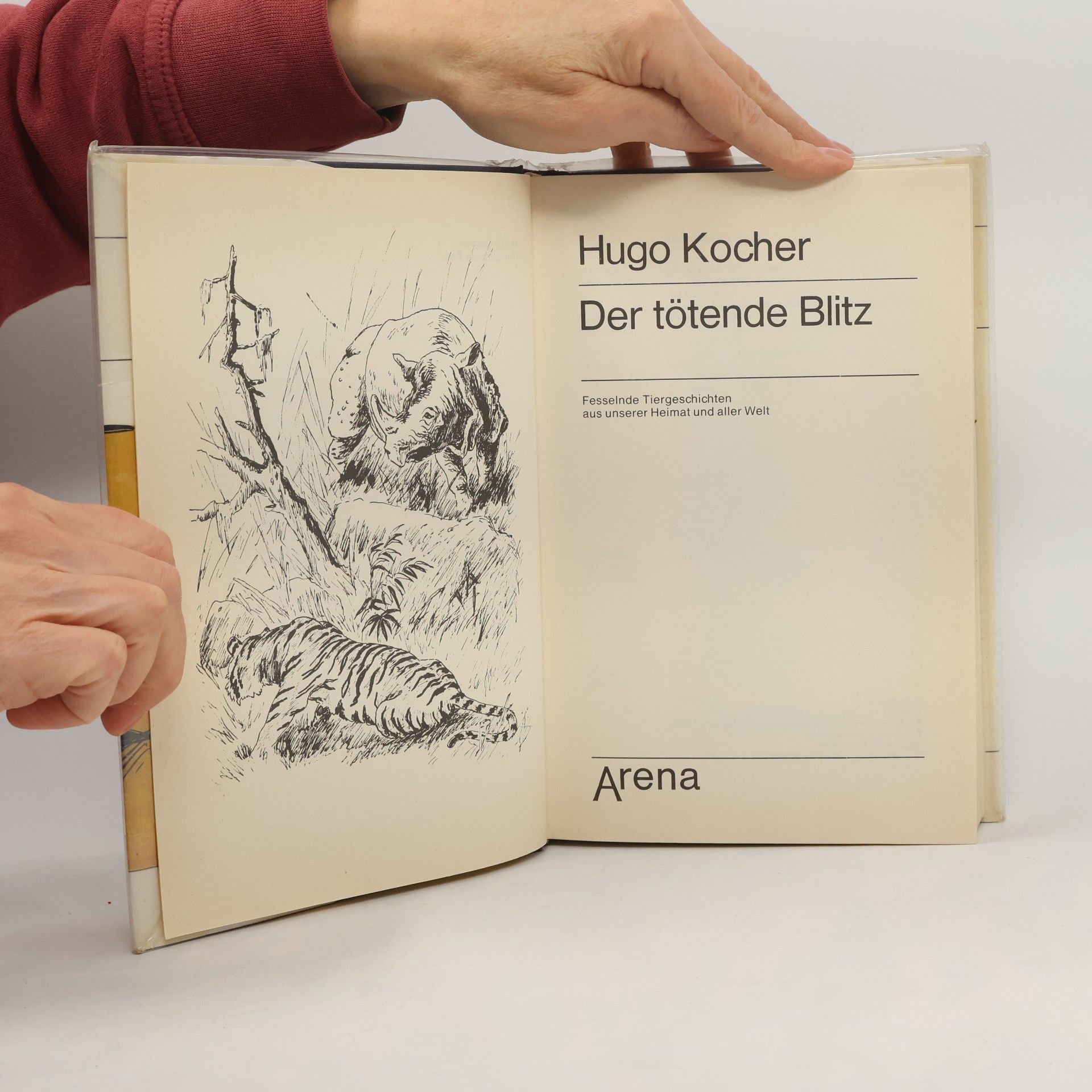 Hugo Kocher Der tötende Blitz