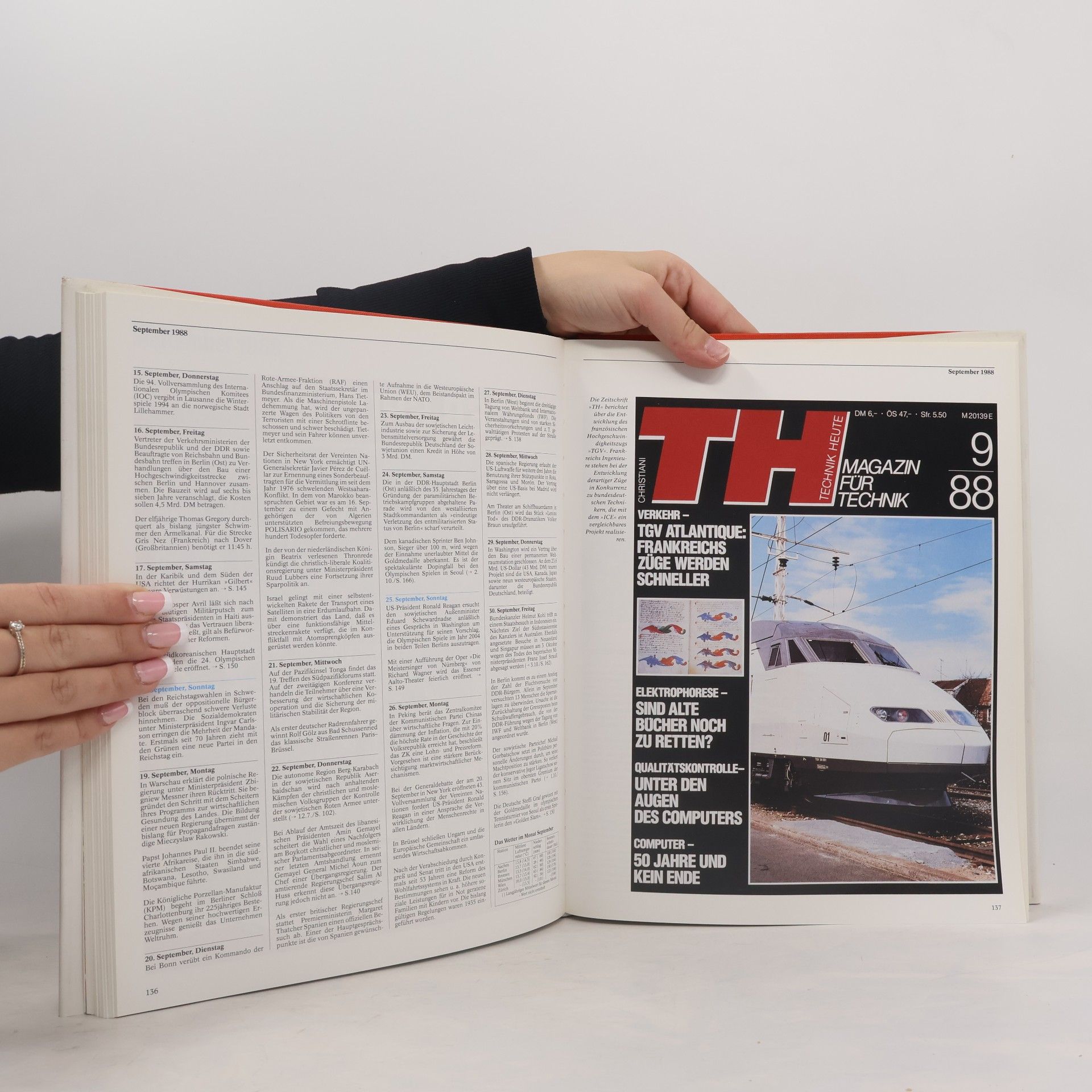Thomas Flemming Chronik 1988