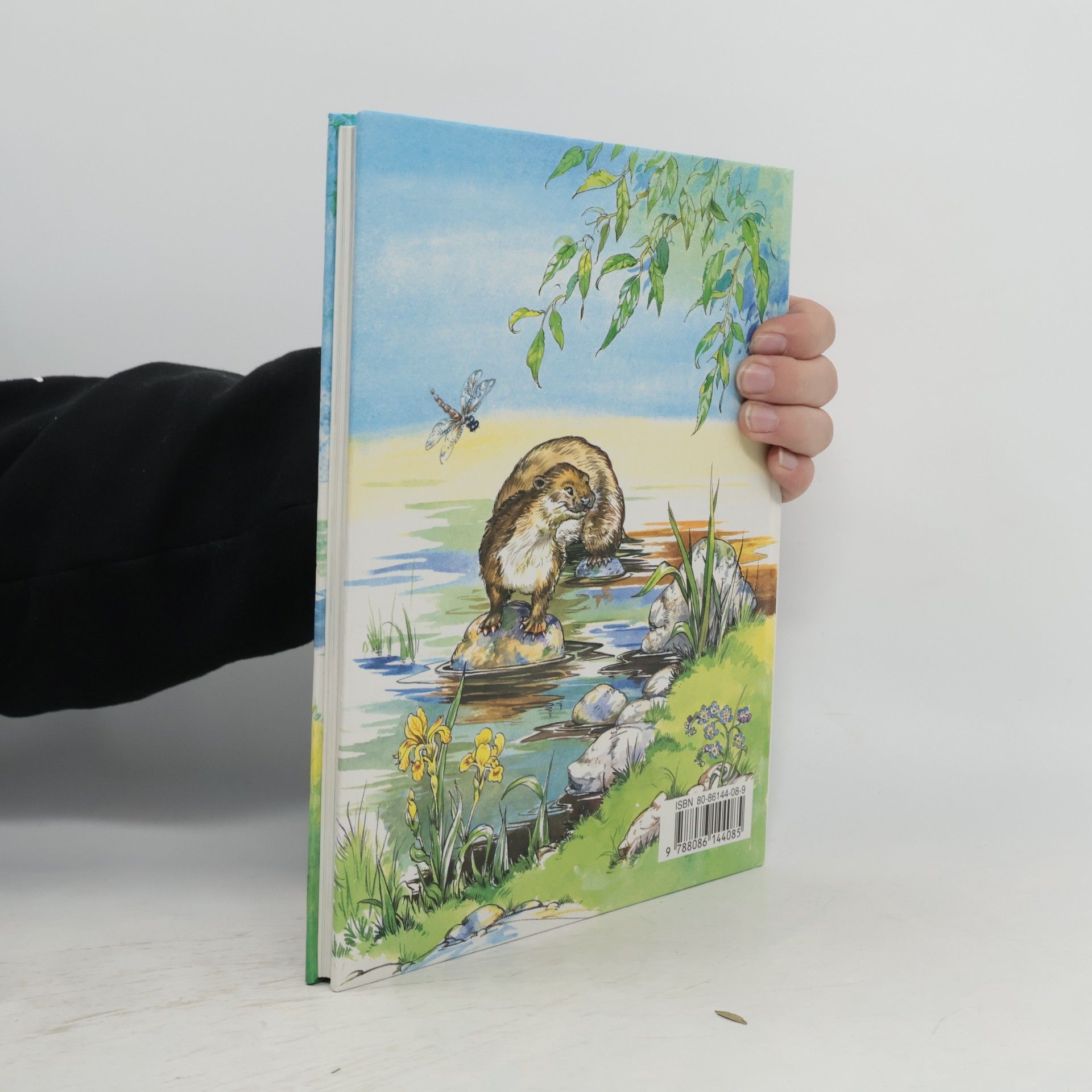 Kenneth Grahame Vyprávění pod vrbou