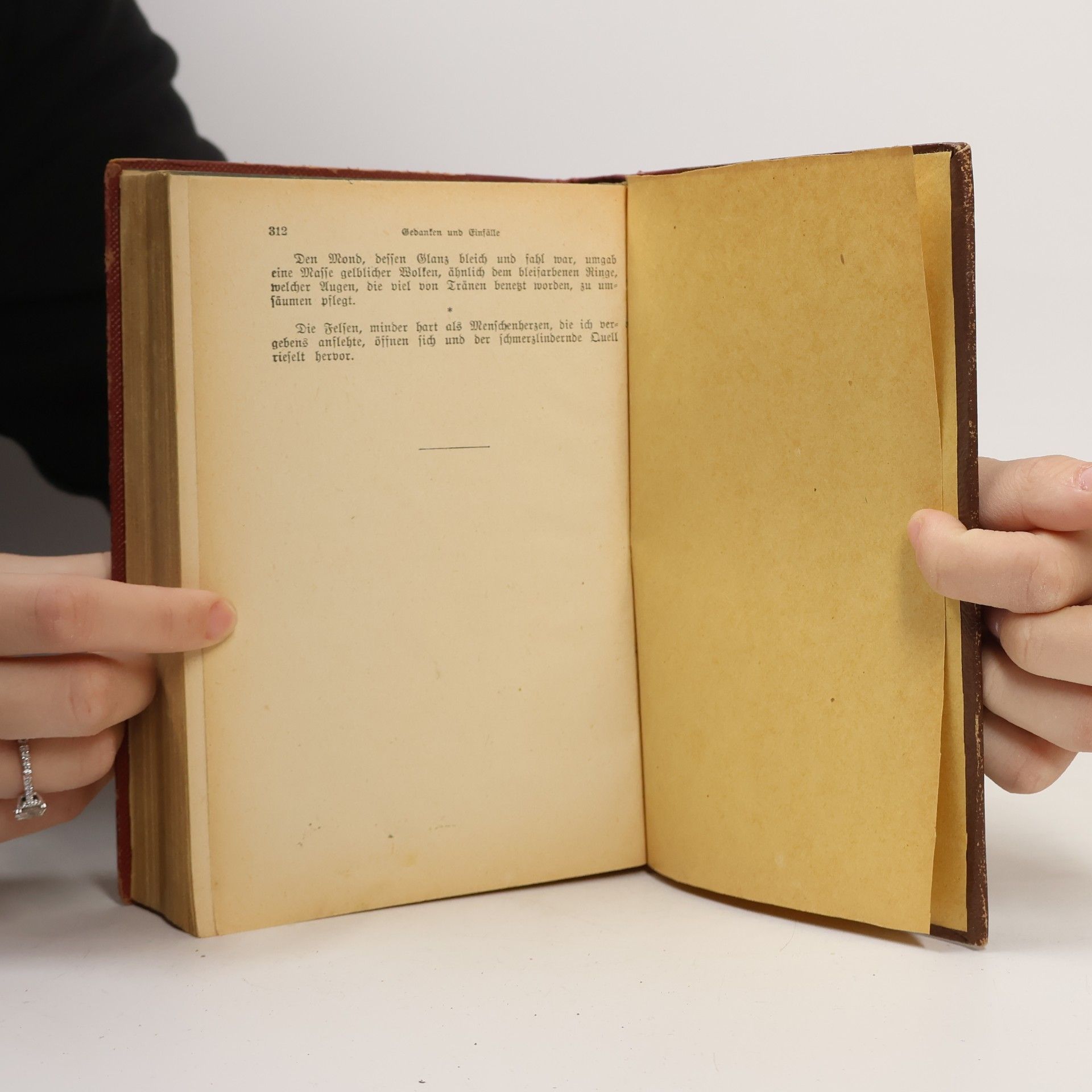 Heinrich Heine Heines Werke V.