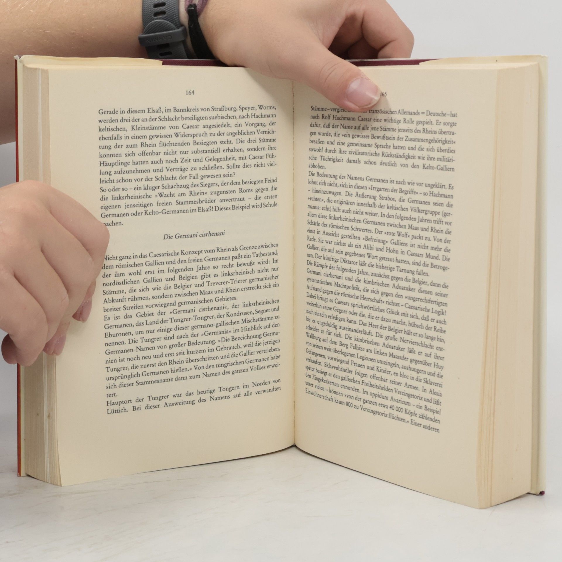 Ernst F. Jung Sie bezwangen Rom