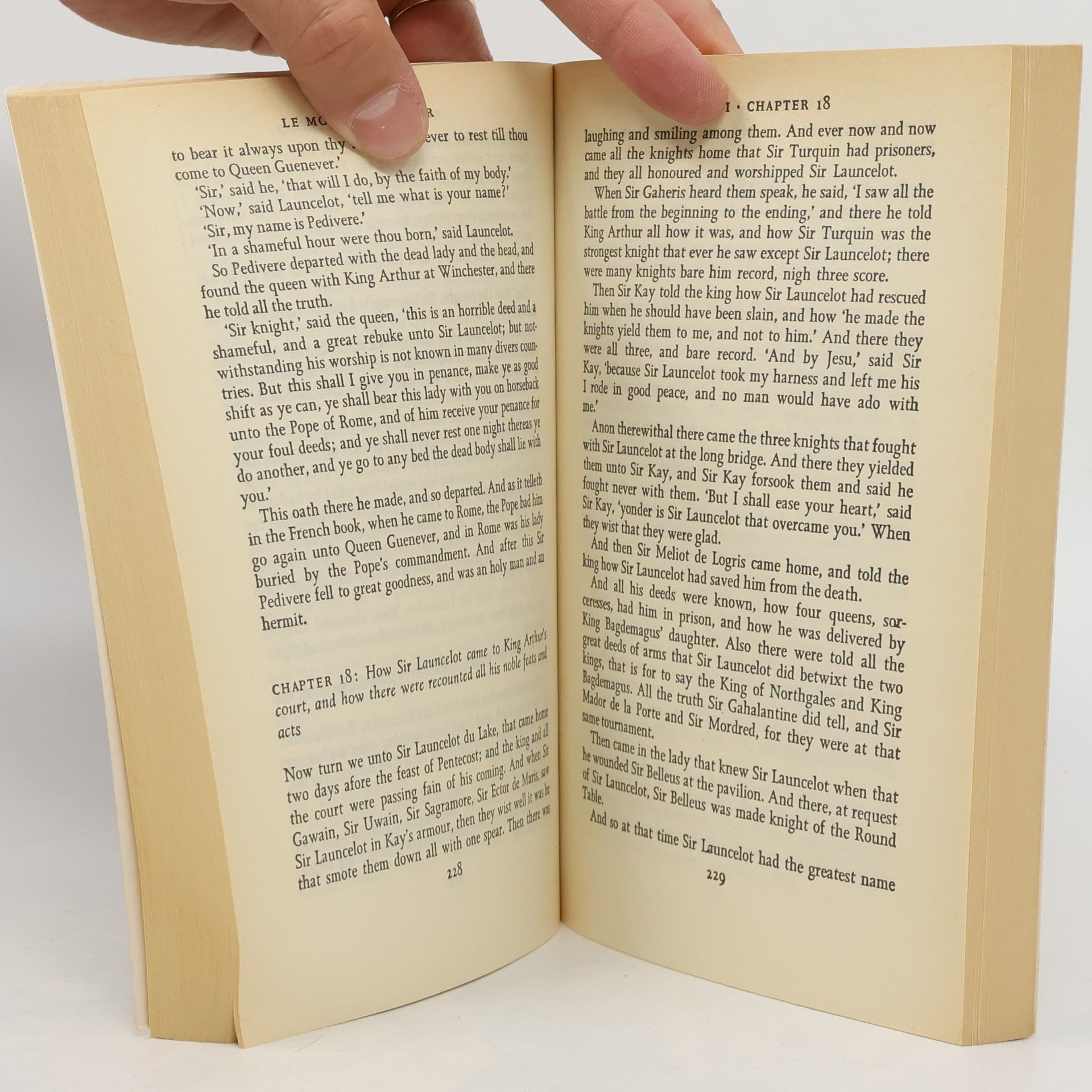Thomas Malory Le morte d'Arthur, Volume I