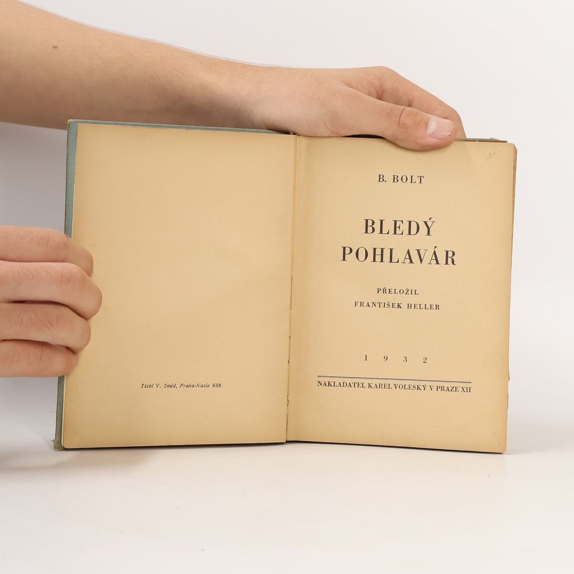 František Heller Bledý pohlavár