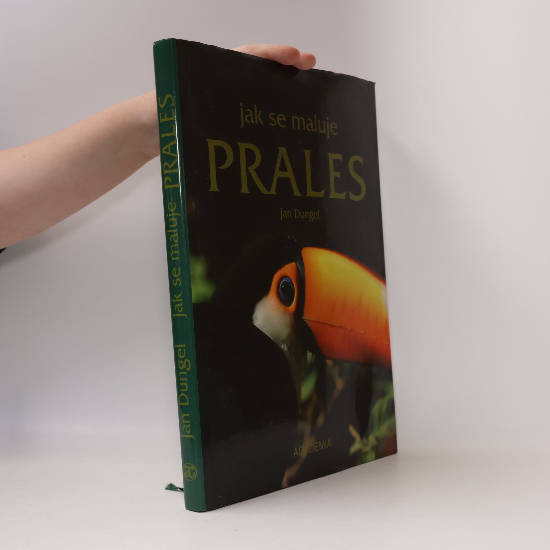 Jan Dungel Jak se maluje prales