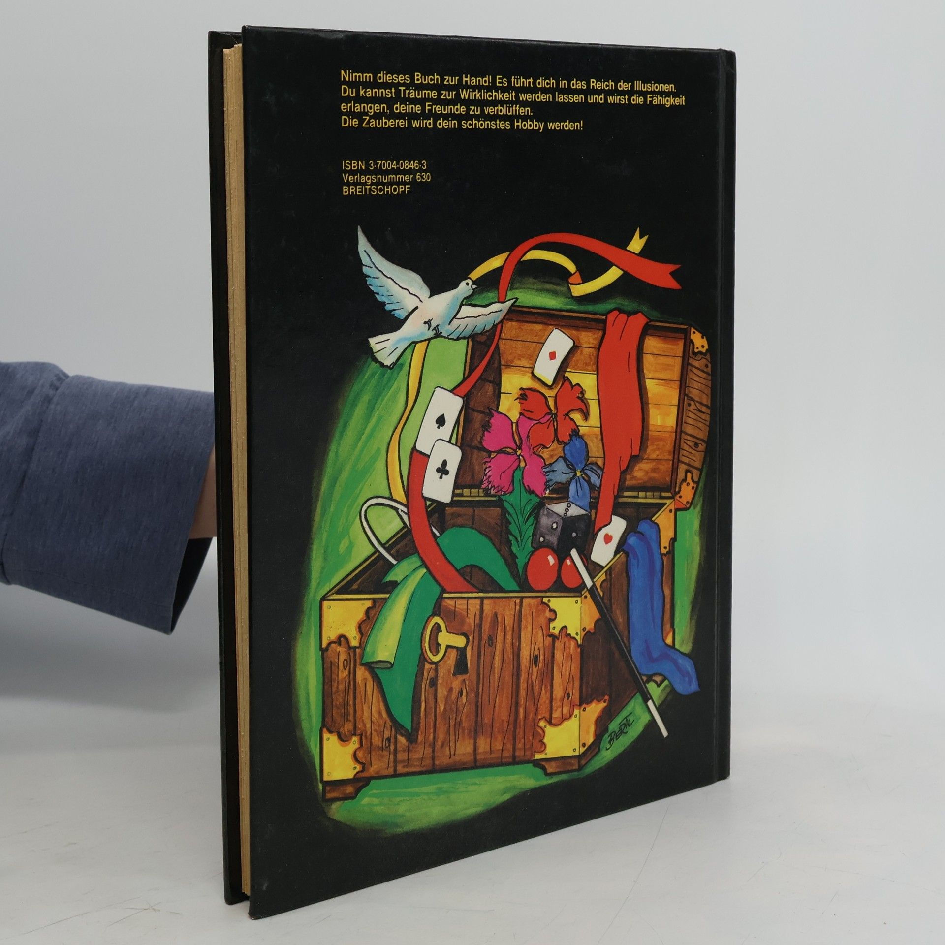 Brigitte Varga Mein neues ganz geheimes Zauberbuch