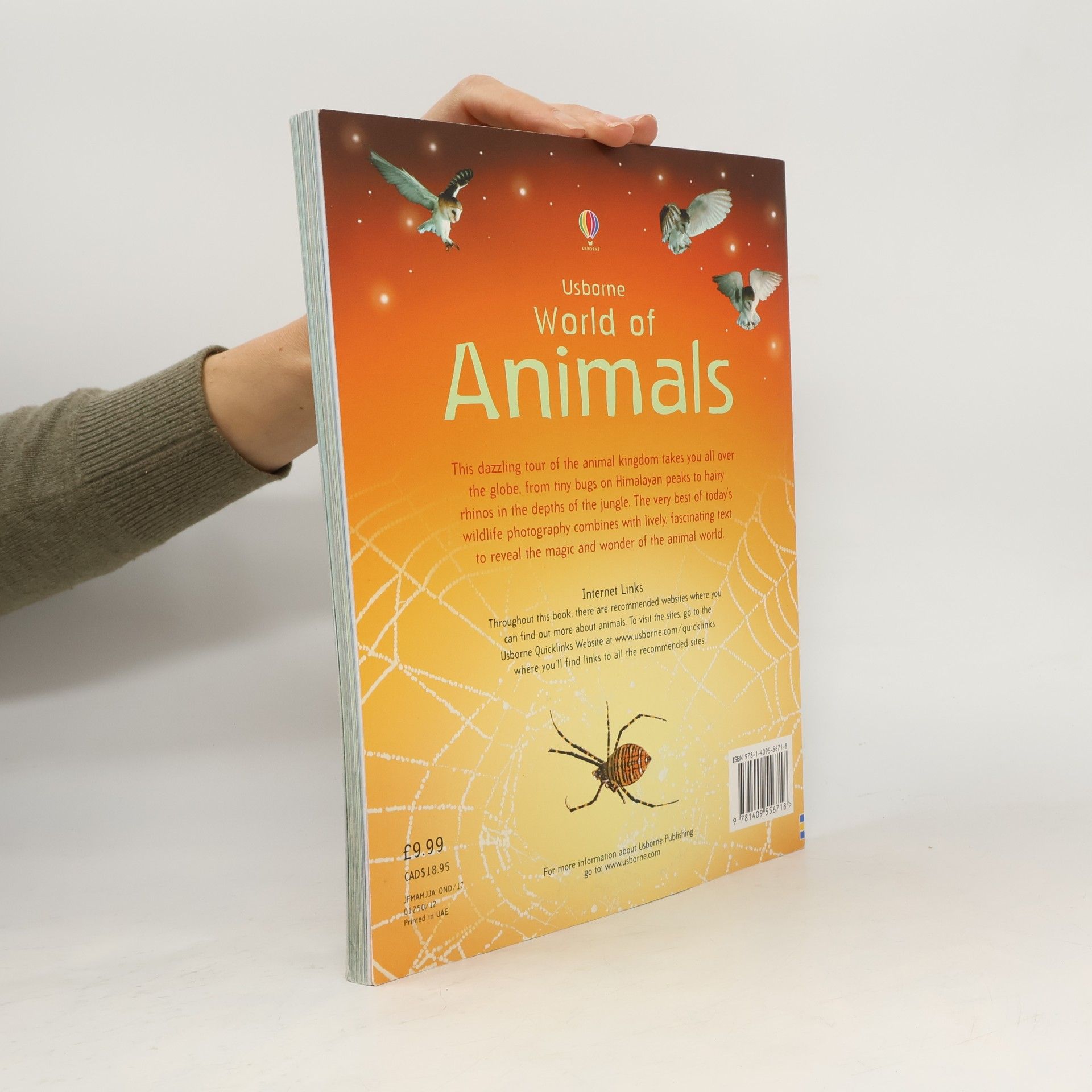 Zanna Davidson Usborne World of Animals