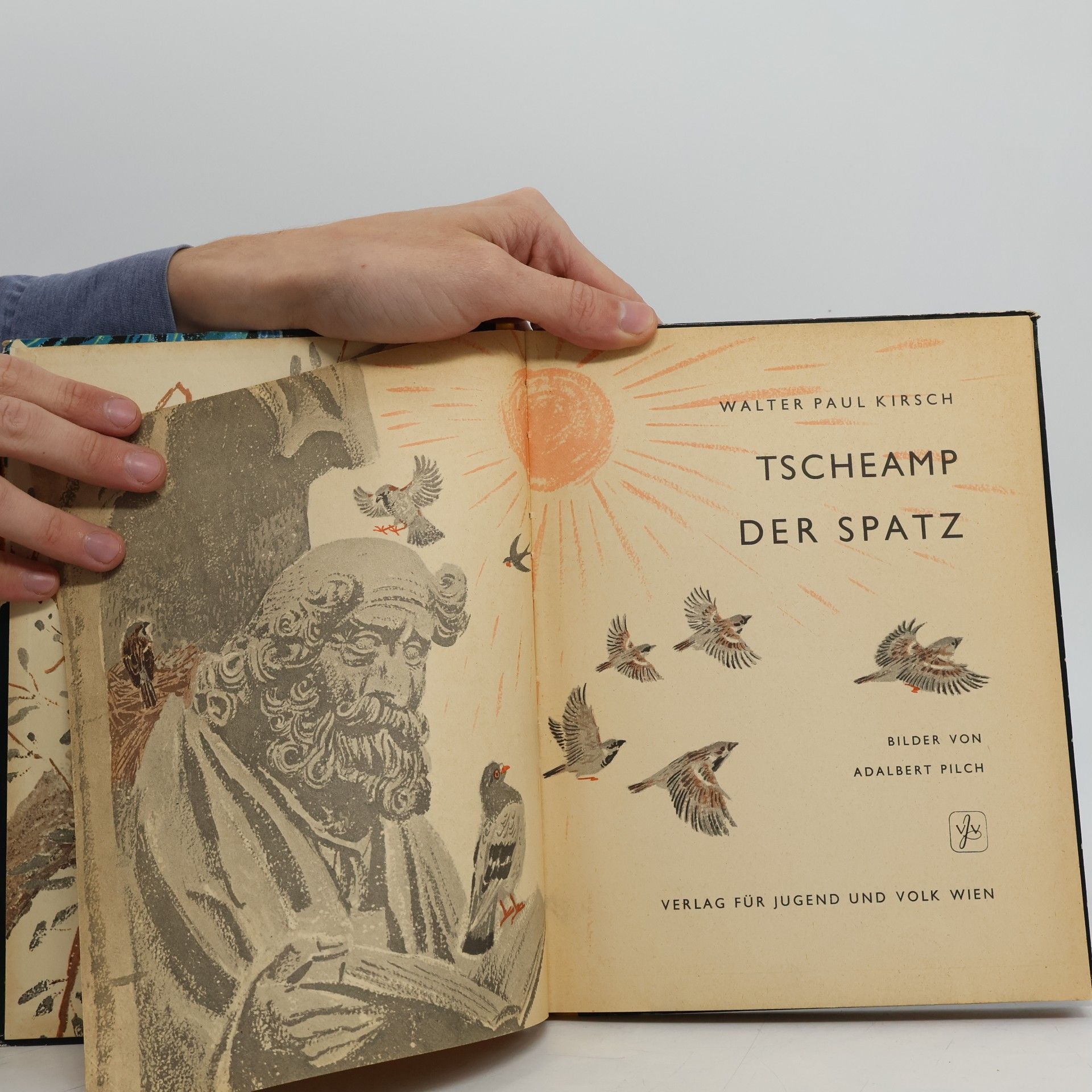 Walter Paul Kirsch Tscheamp der Spatz