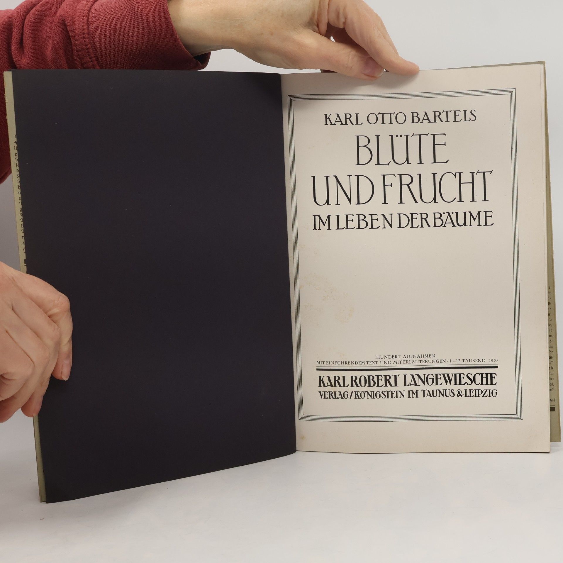 Karl Otto Bartels Blüte und Frucht im Leben der Bäume