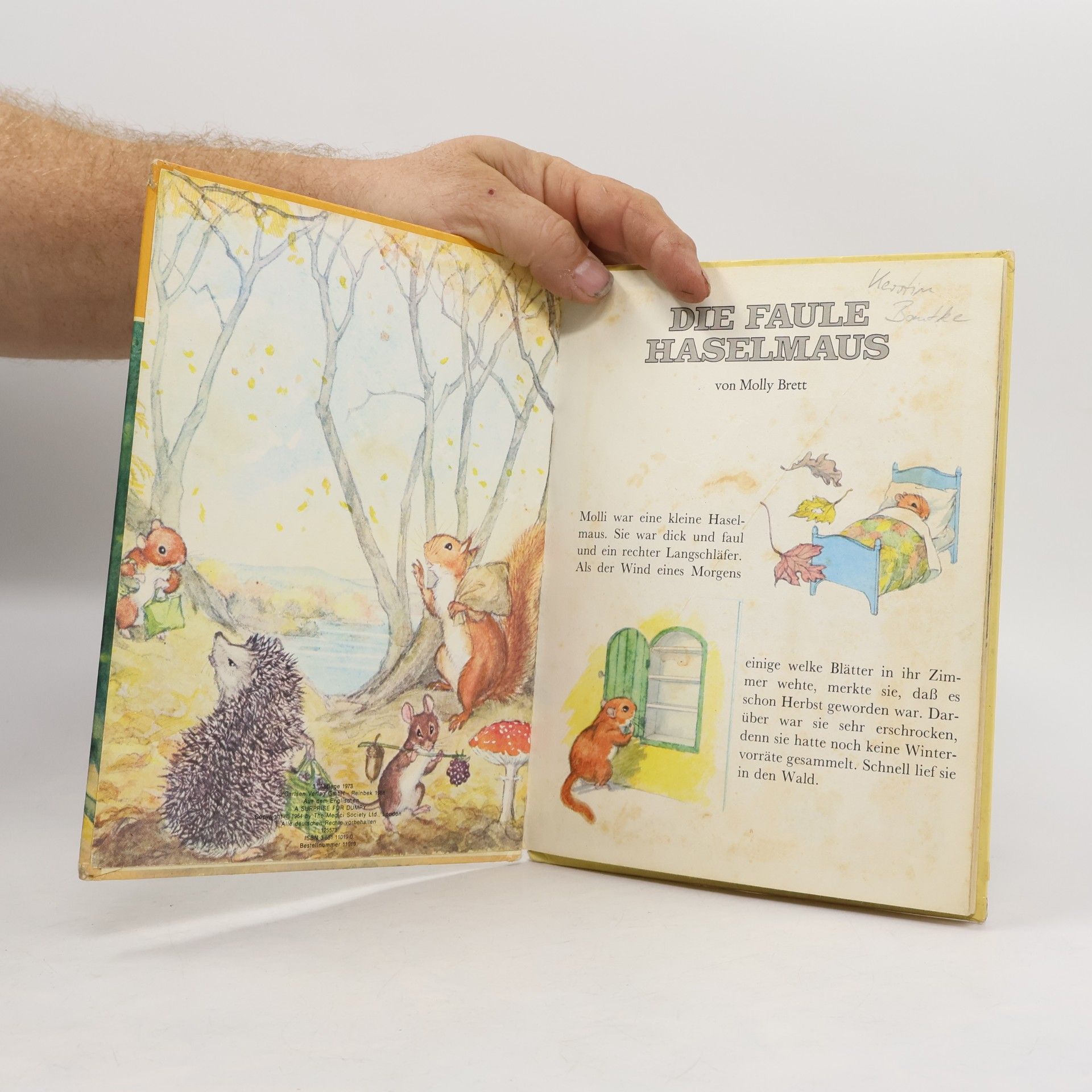 Molly Brett Die faule Haselmaus