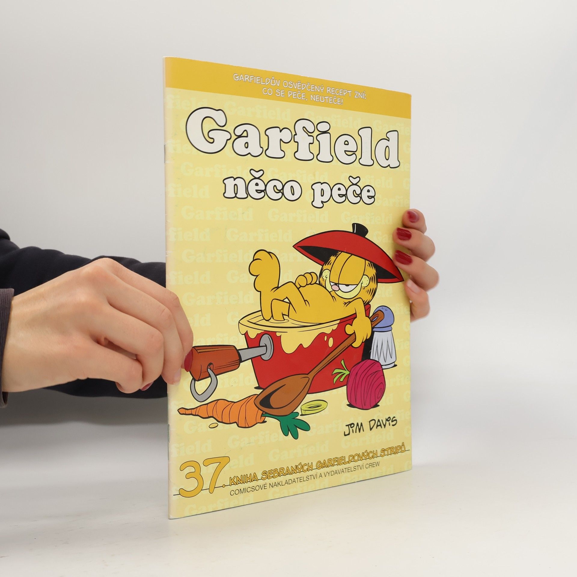 Jim Davis Garfield něco peče
