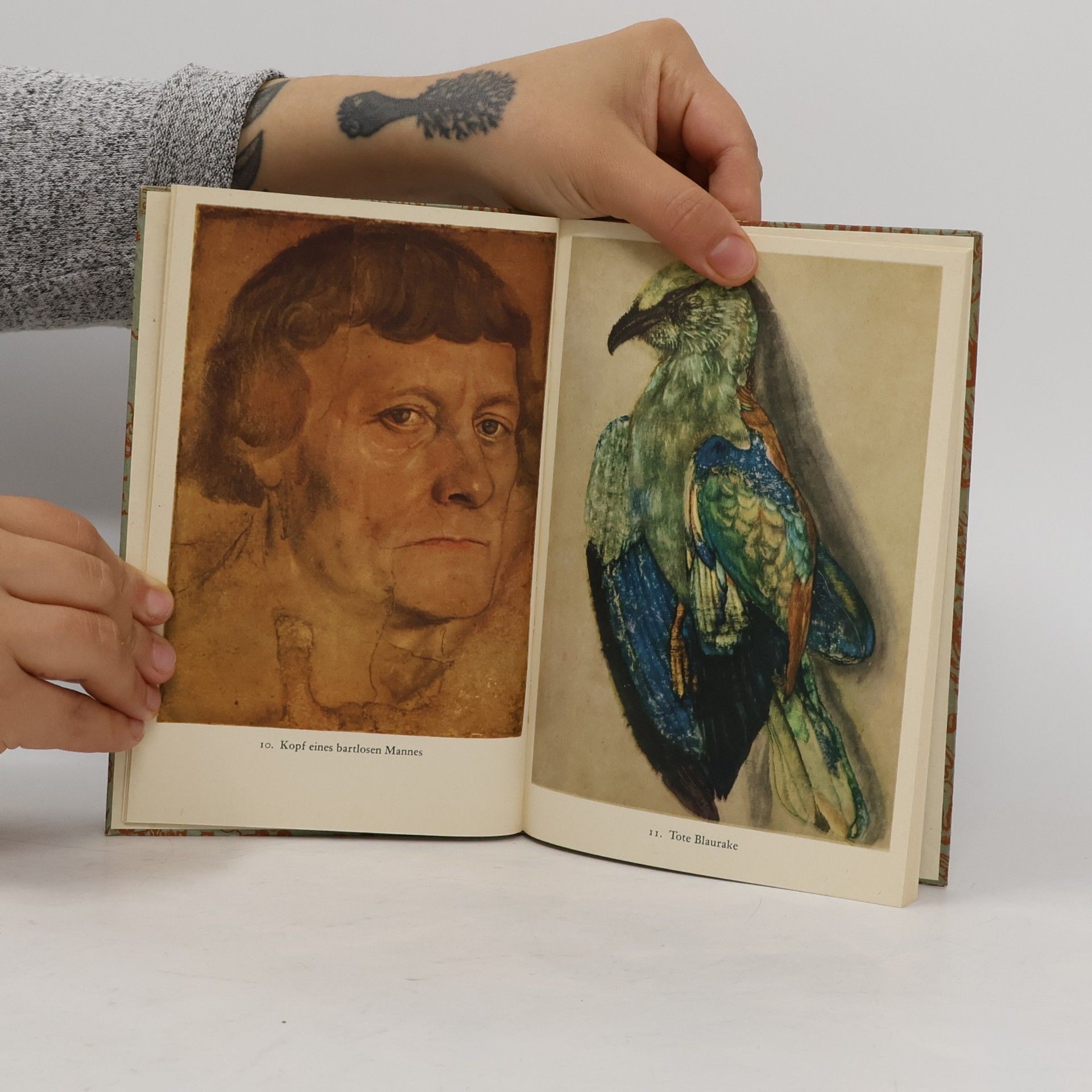 Lucas Cranach Der Ältere Zeichnungen