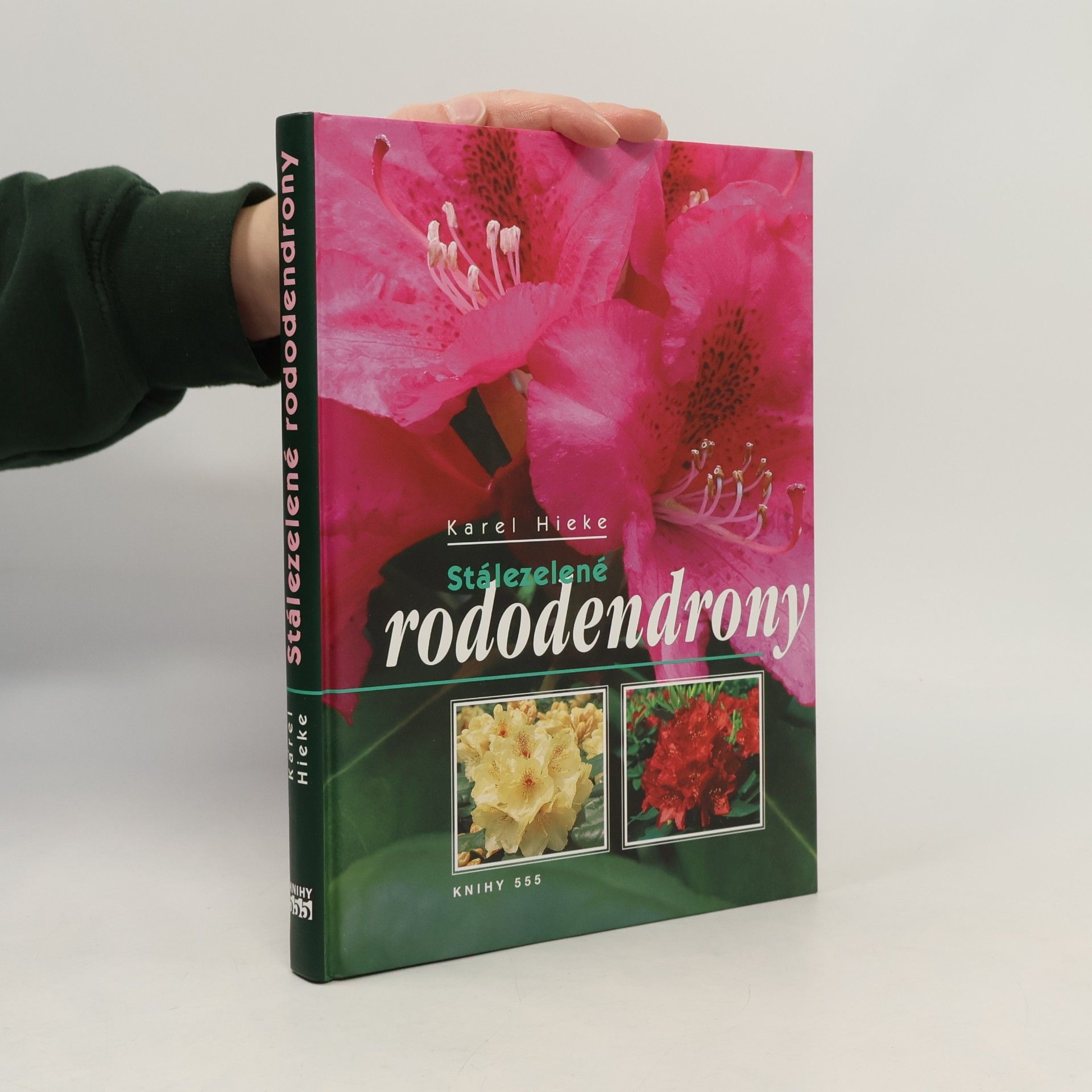 Karel Hieke Stálezelené rododendrony