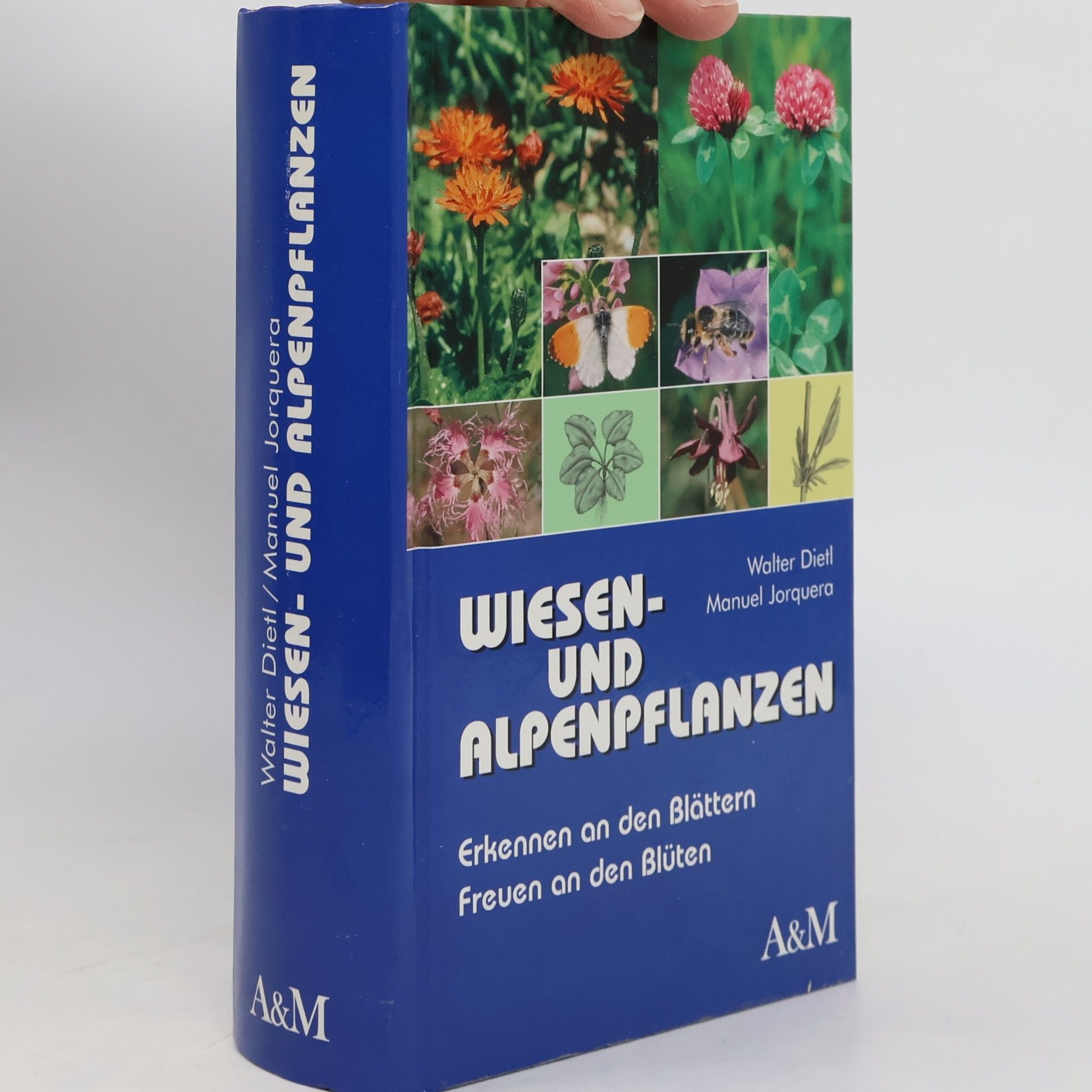 Wiesen- und Alpenpflanzen