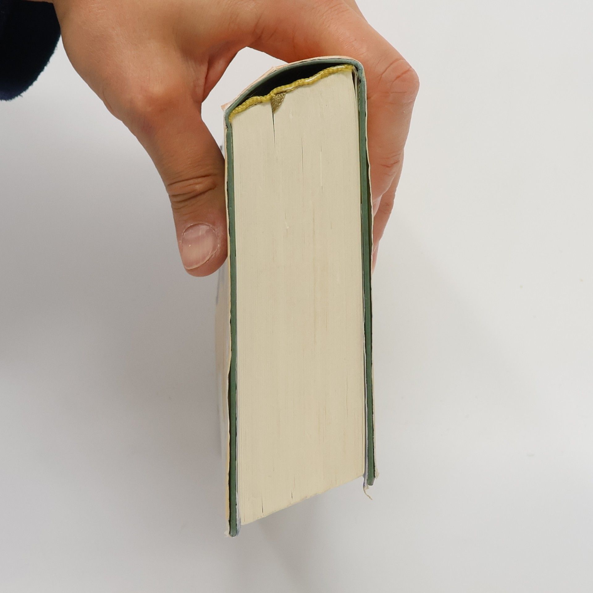 Rita Mae Brown Galopp ins Glück