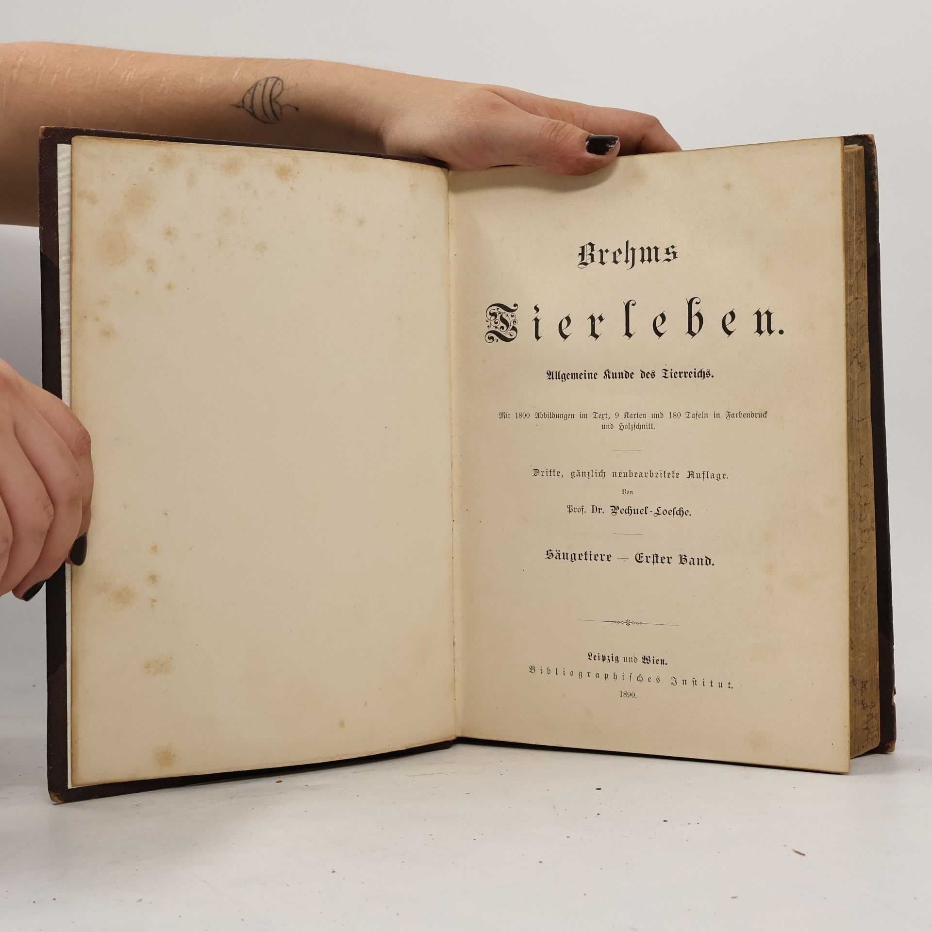 Alfred Edmund Brehm Brehms Tierleben. Die Säugetiere. Erster Band