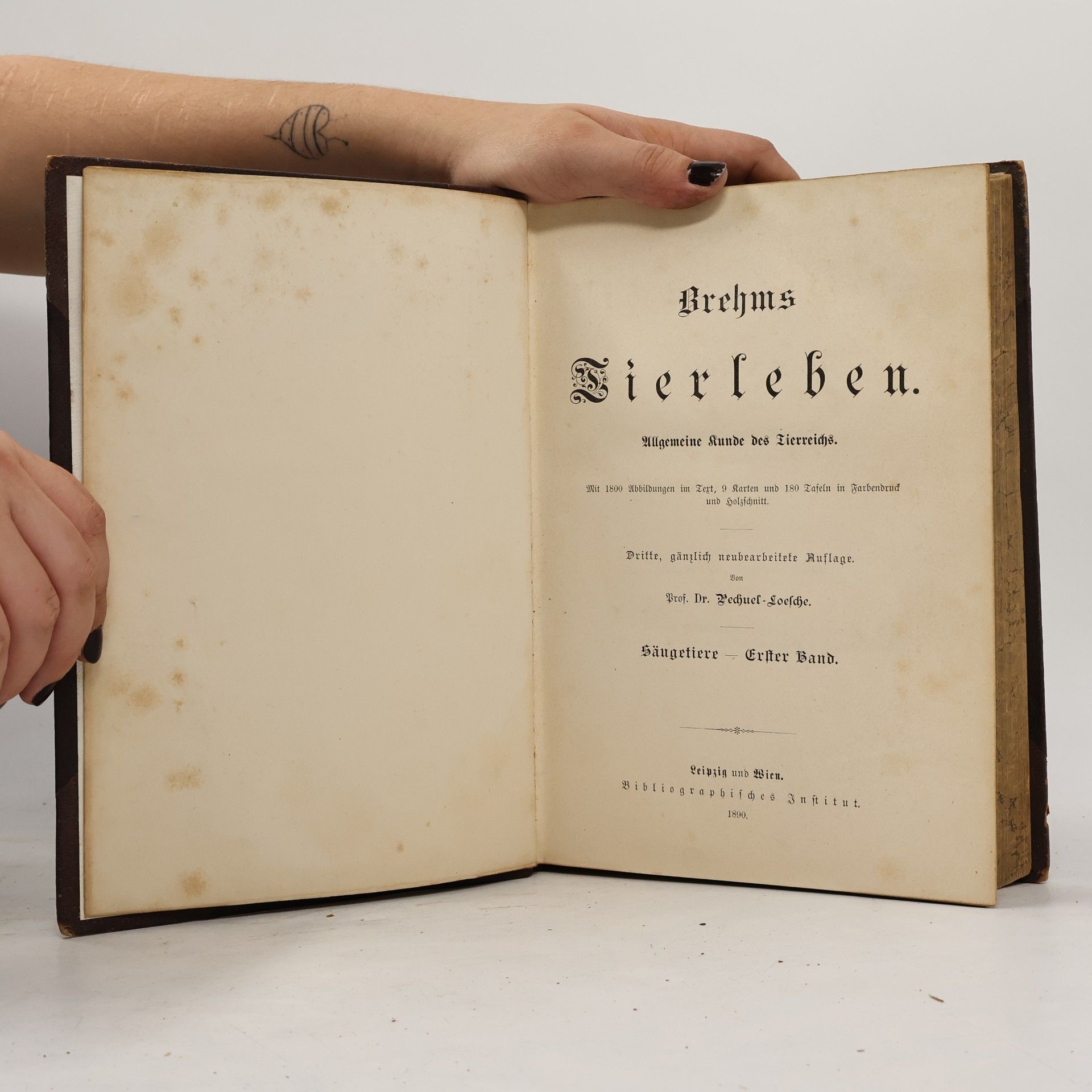 Alfred Edmund Brehm Brehms Tierleben. Die Säugetiere. Erster Band