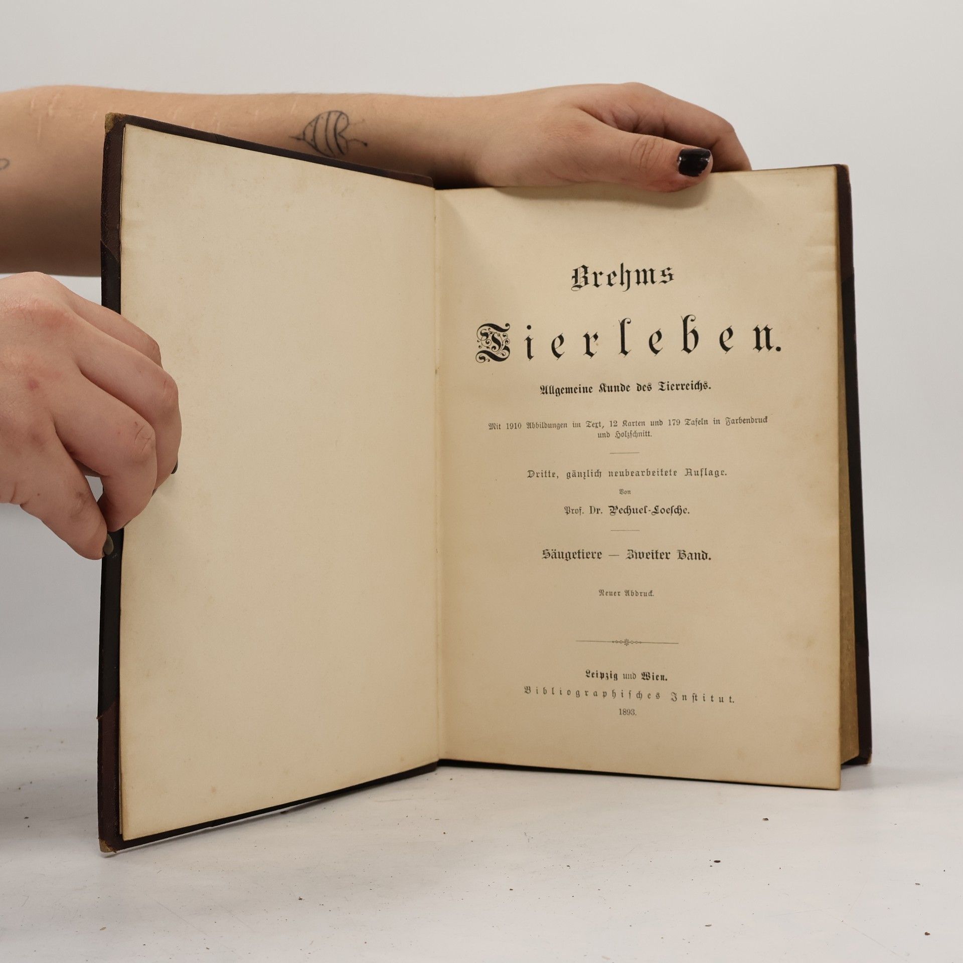 Alfred Brehm Brehms Tierleben