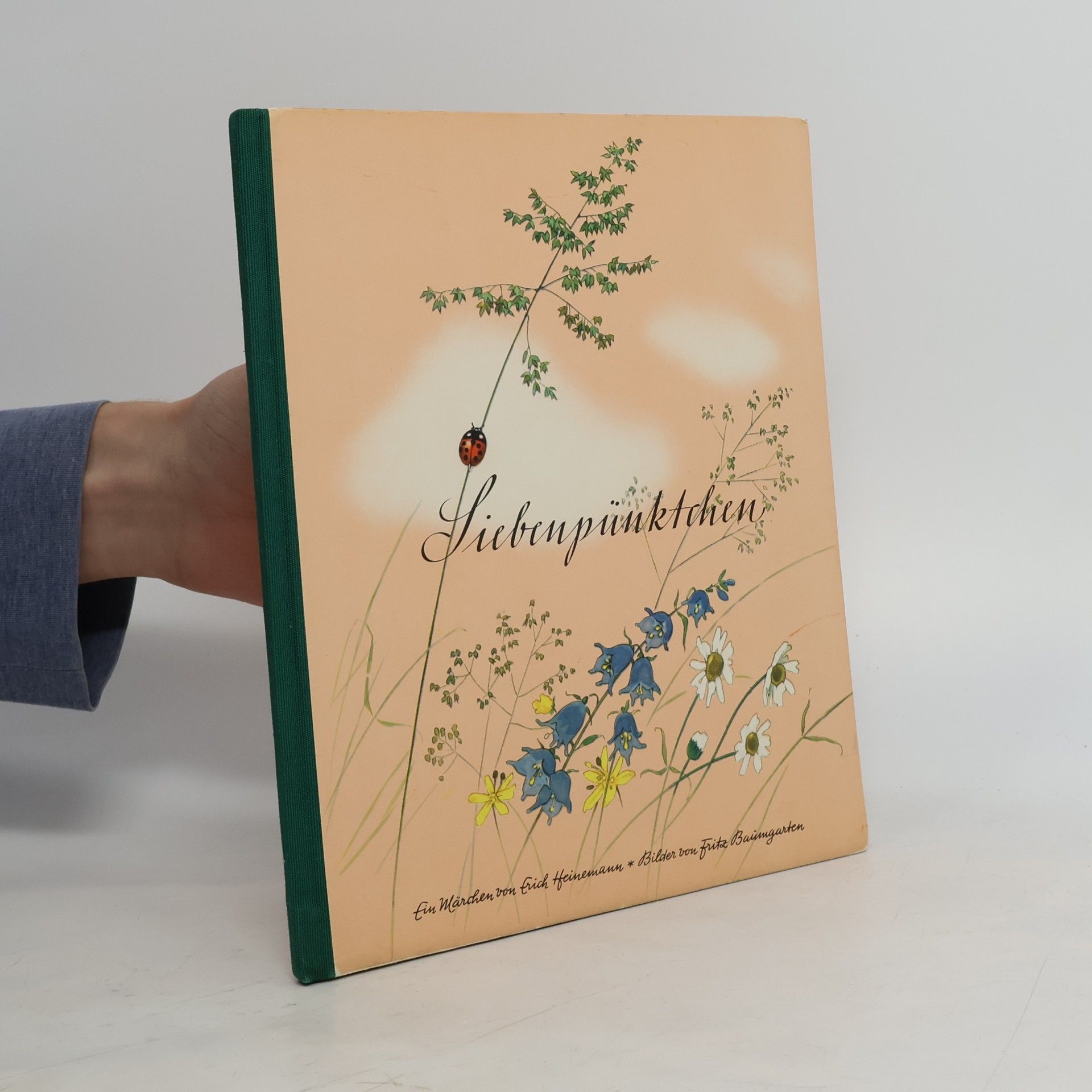 Siebenpünktchen