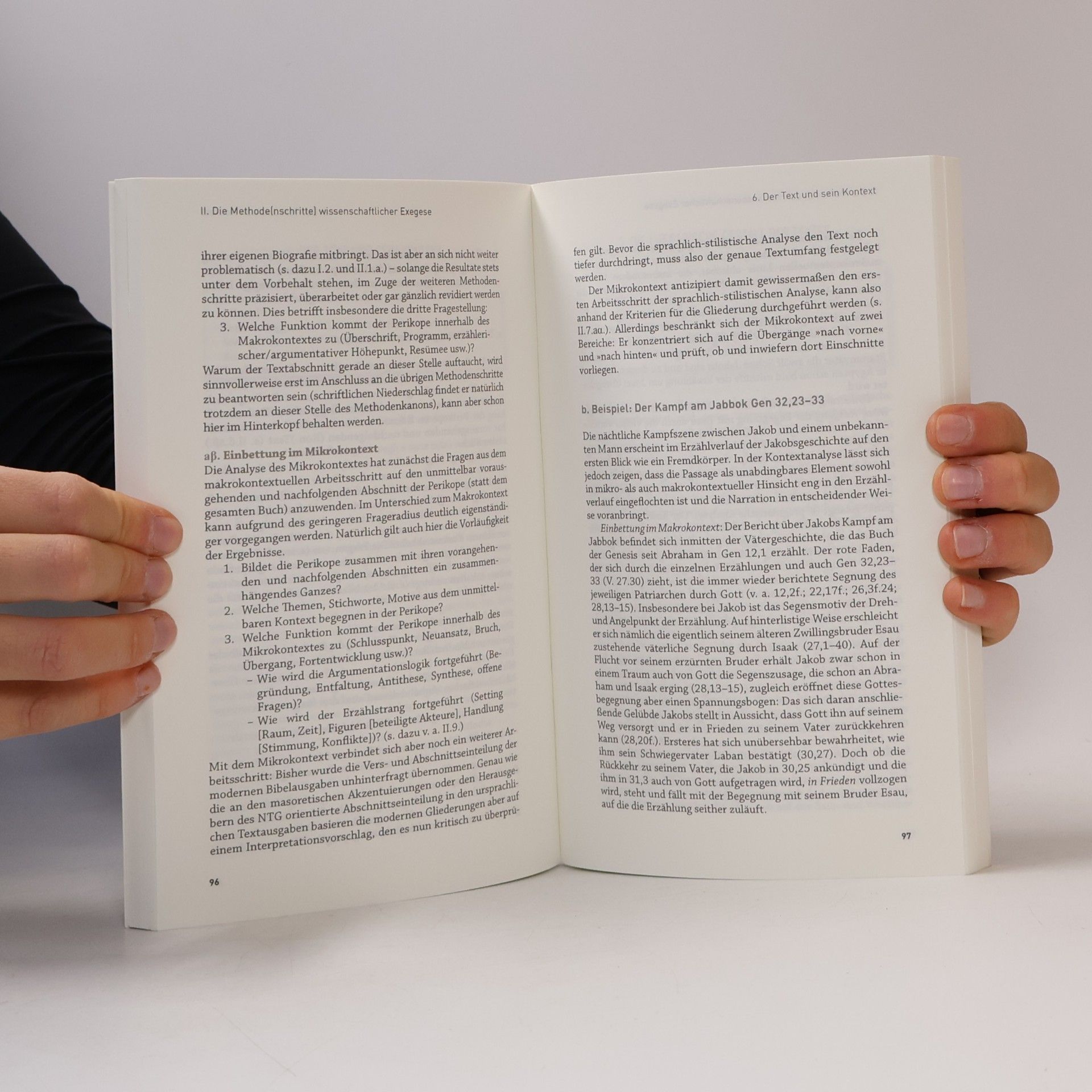 Manuel Nägele Die Bibel auslegen