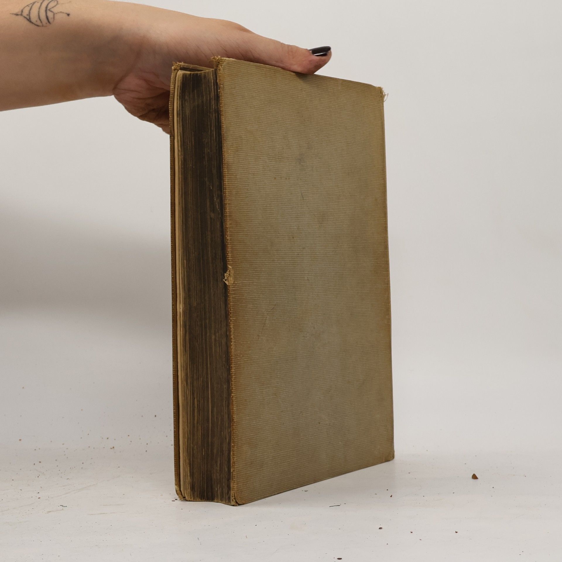 R. Höber Lehrbuch der physiologie des menschen