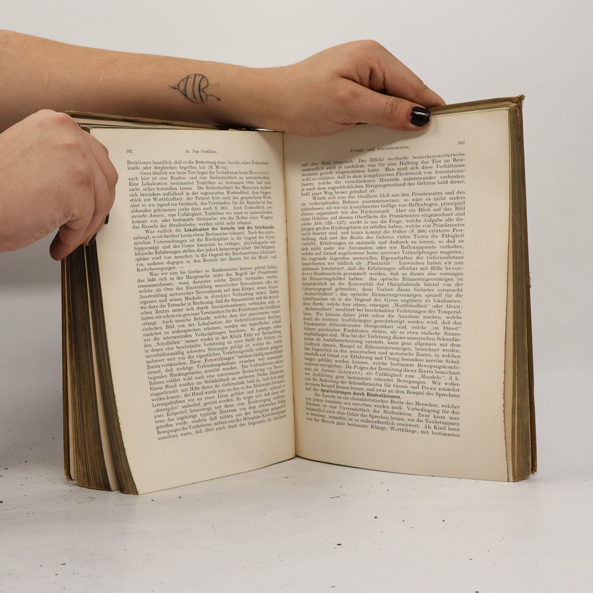 R. Höber Lehrbuch der physiologie des menschen