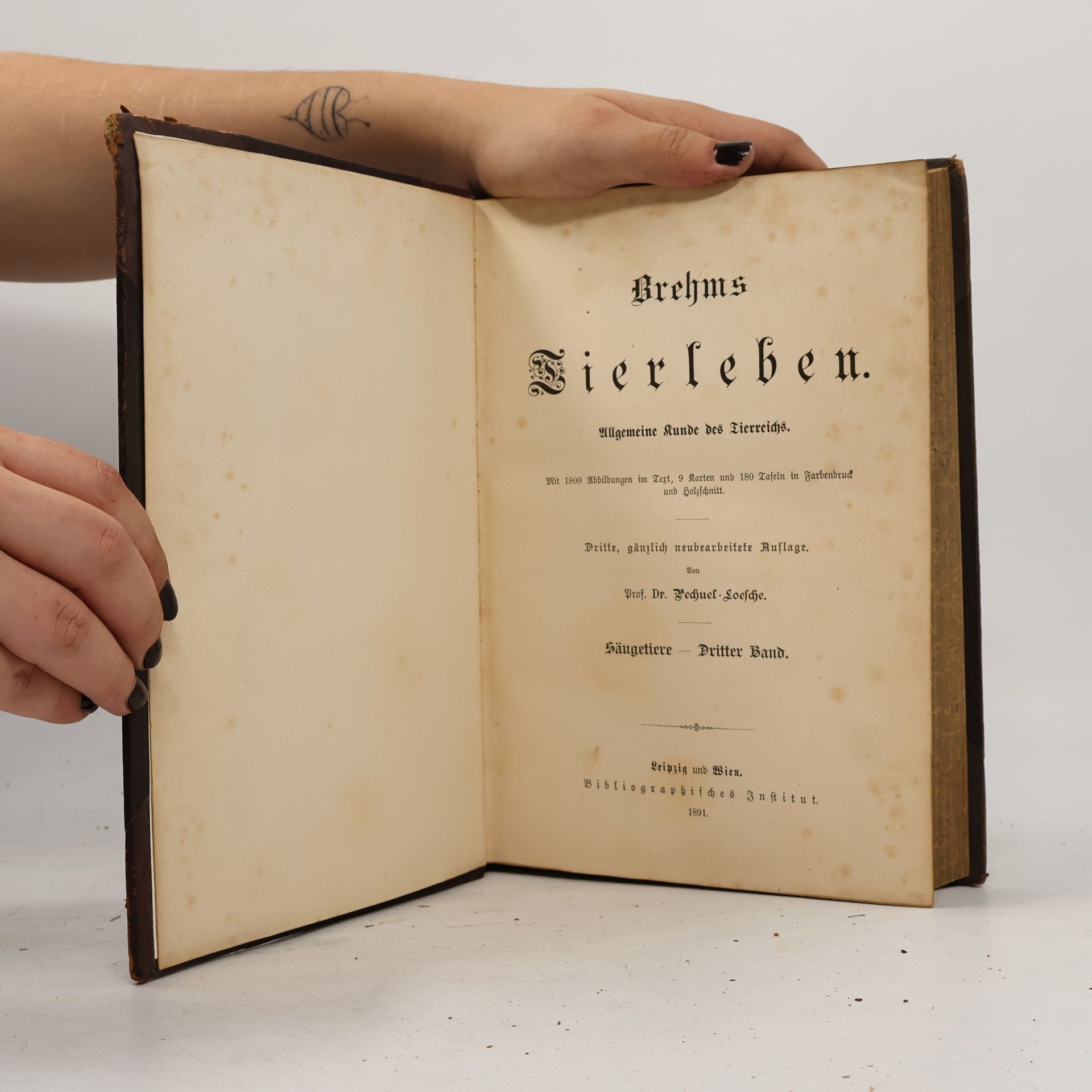Brehm Brehms Tierleben