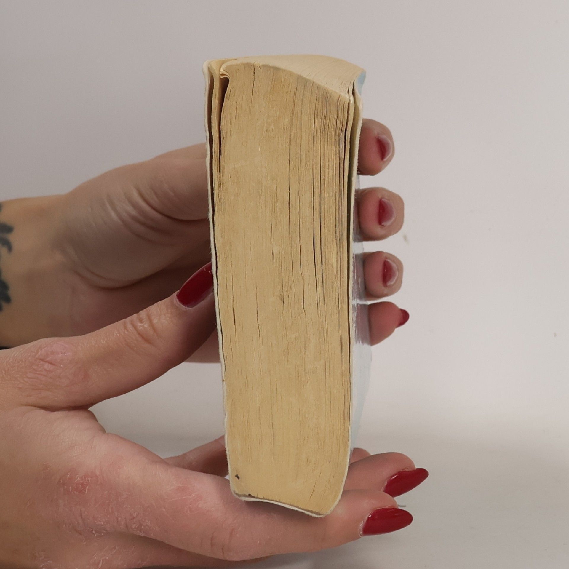 Joanna Hines Das verschlossene Zimmer.