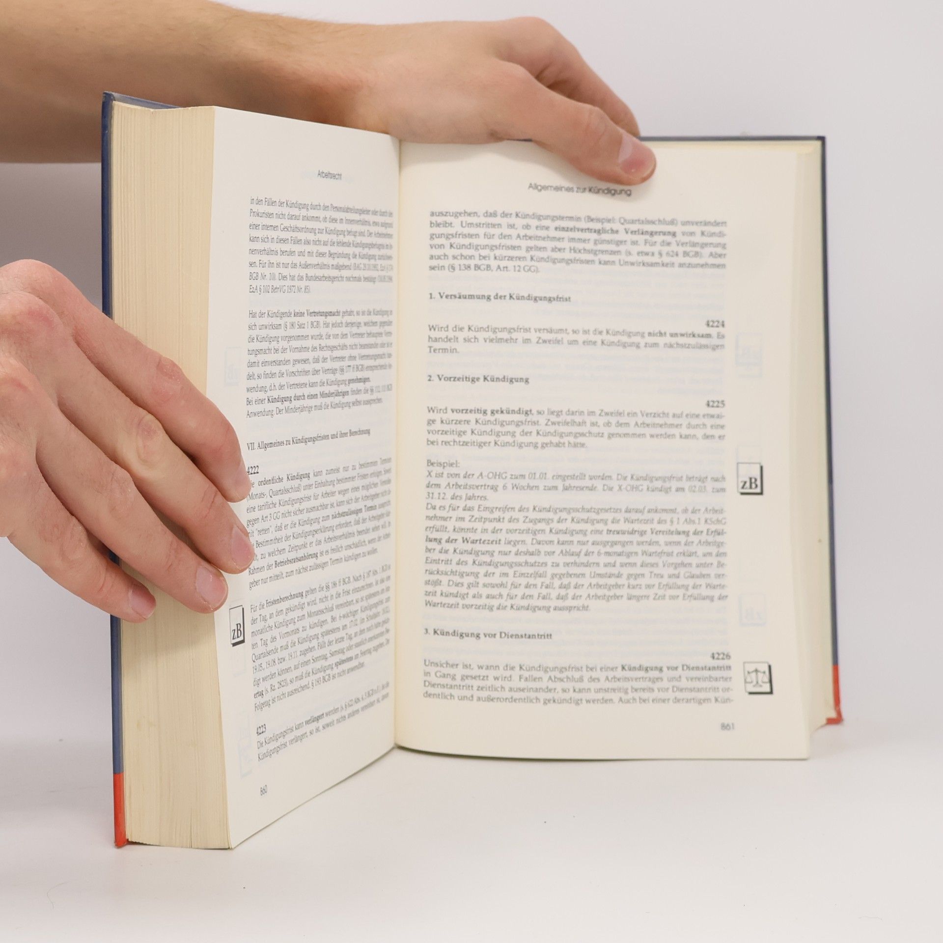 Handbuch der Personalpraxis 1995