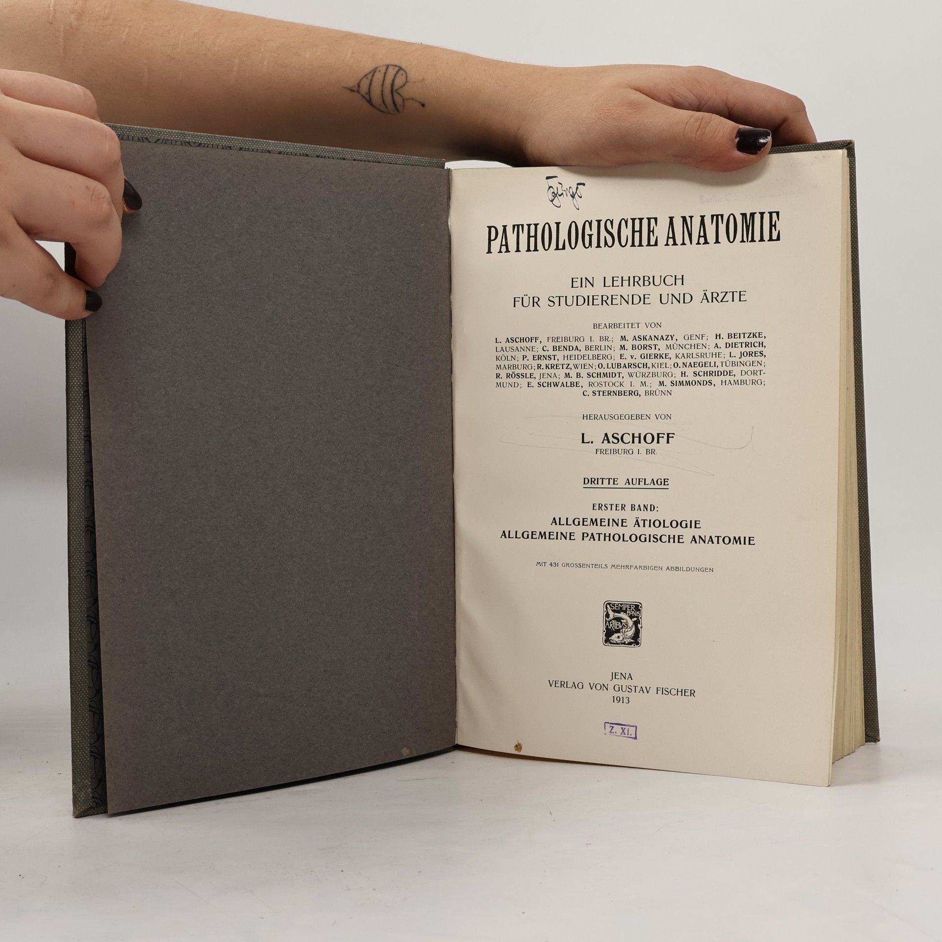 Carl Ernest Bock Patholog Anatomie