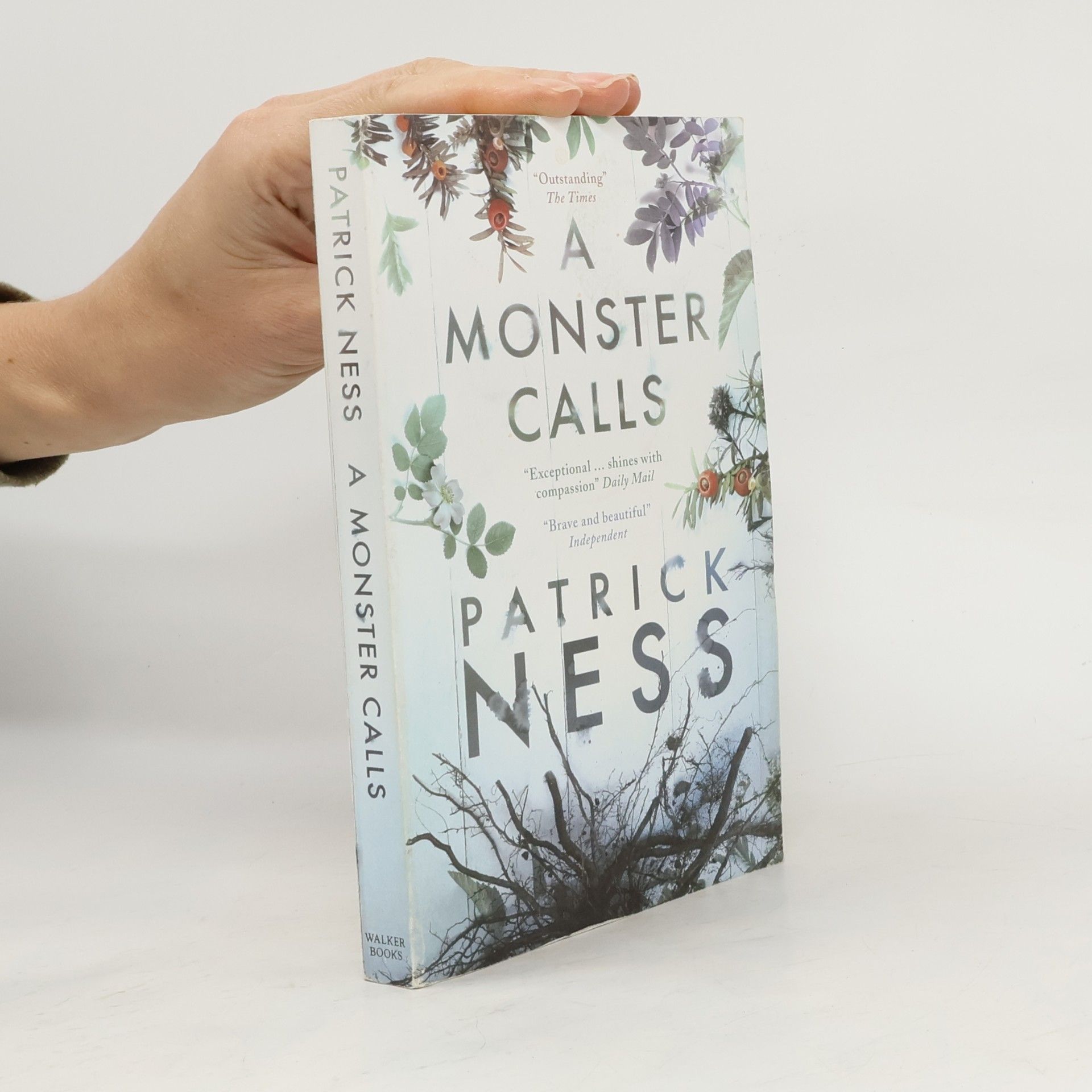 A monster calls