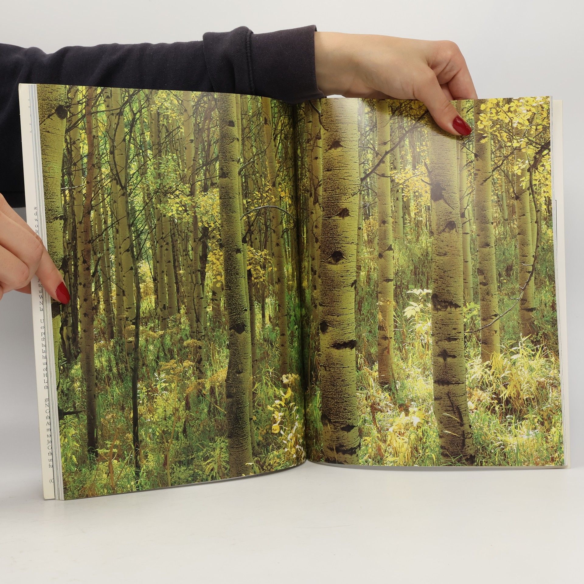 J. R. Ward Colorado, Magnificent Wilderness