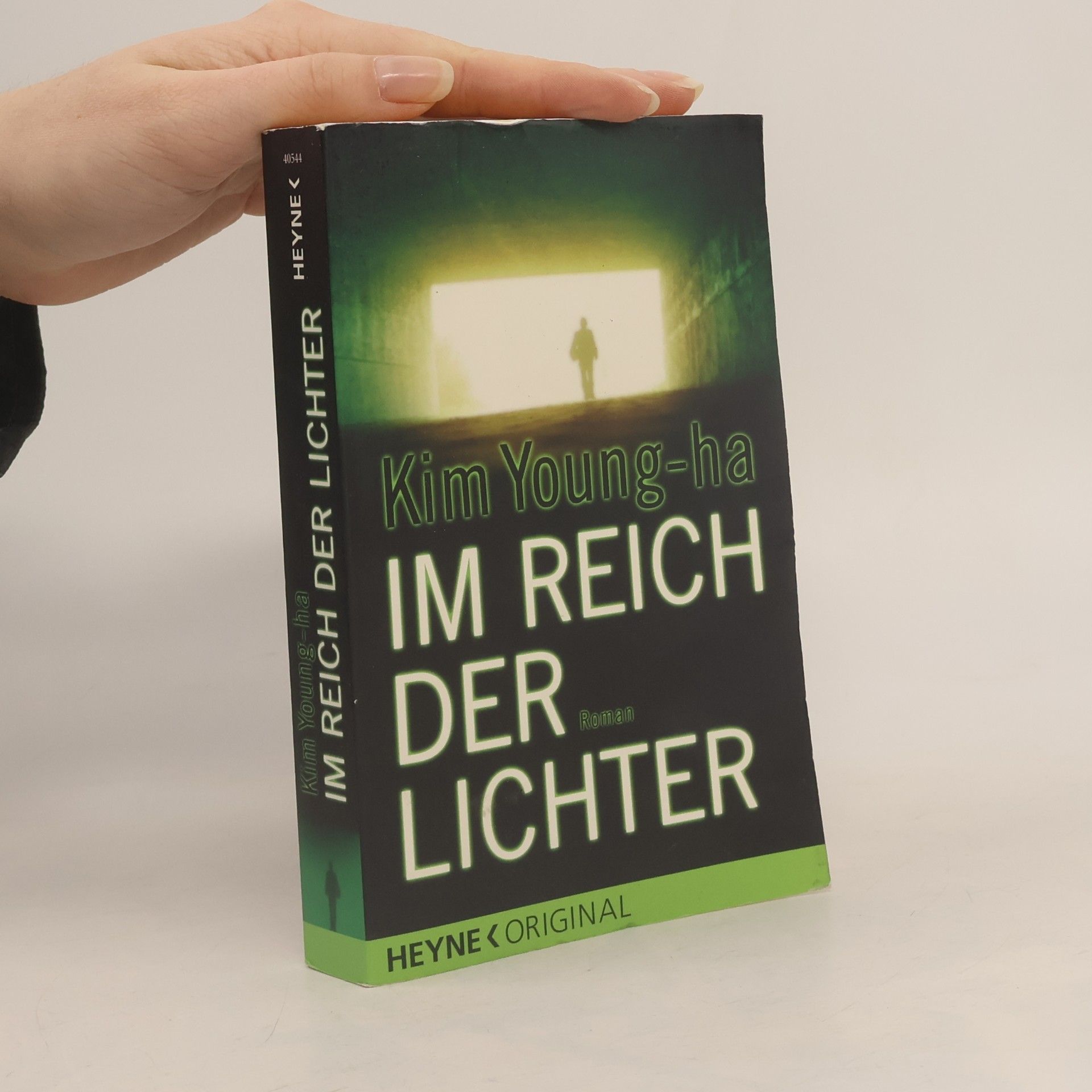 Im Reich der Lichter. Roman