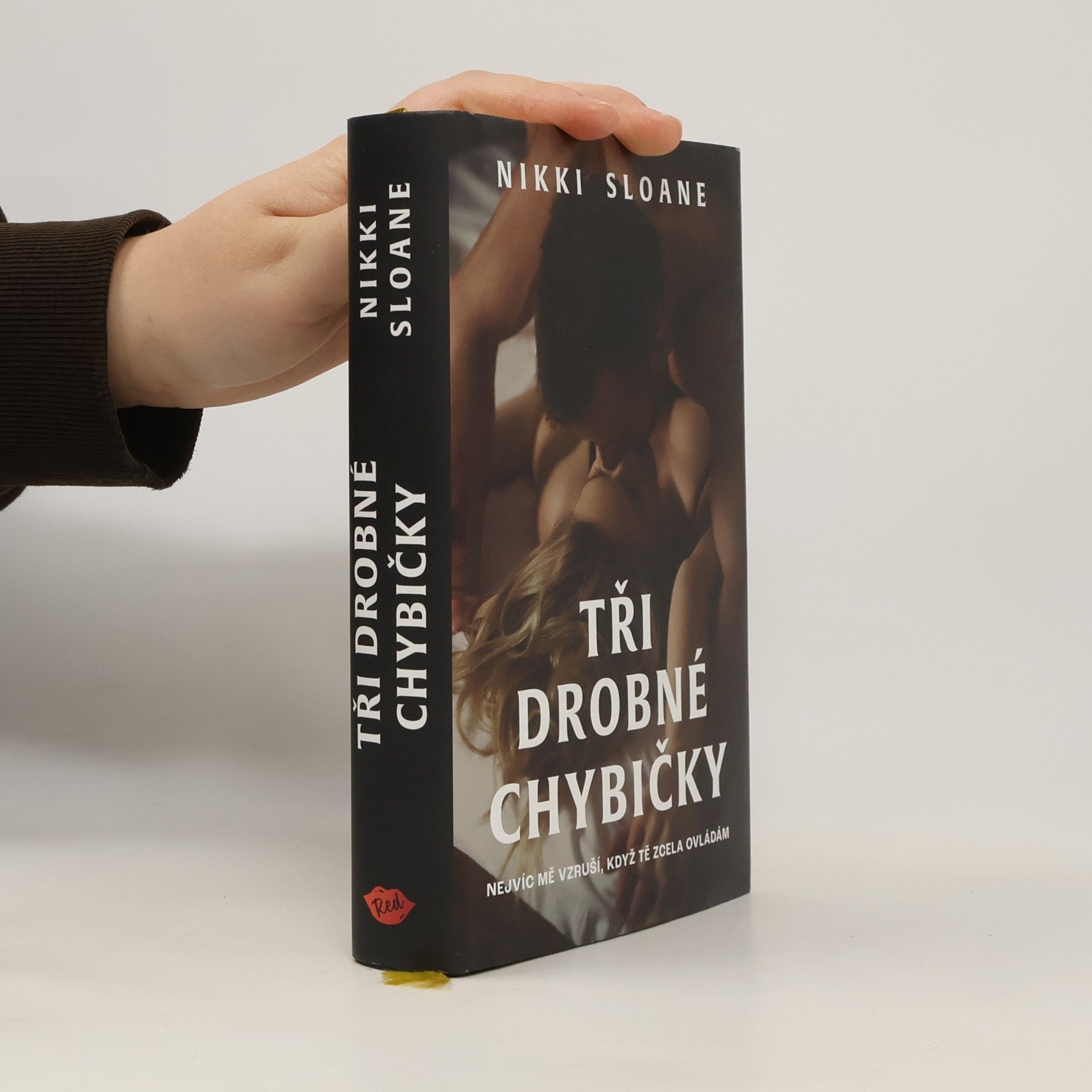 Nikki Sloane Tři drobné chybičky