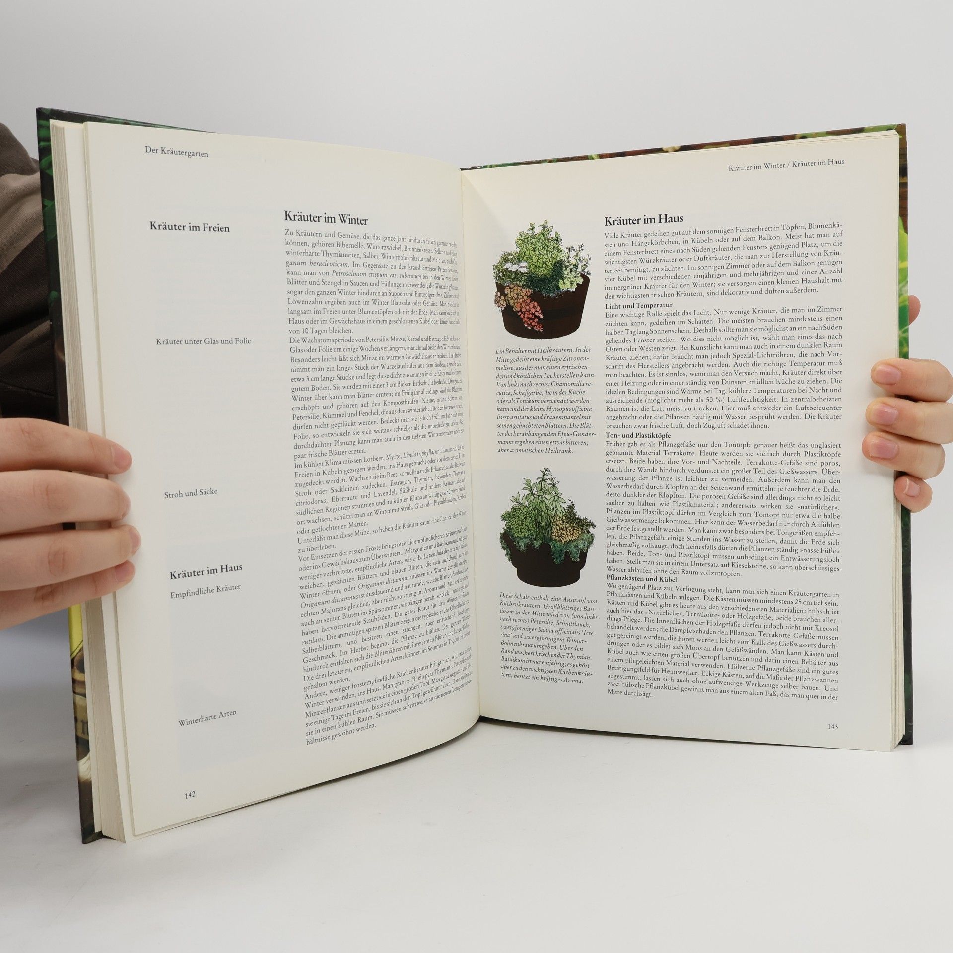 Sarah Garland Das grosse BLV-Buch der Kräuter und Gewürze