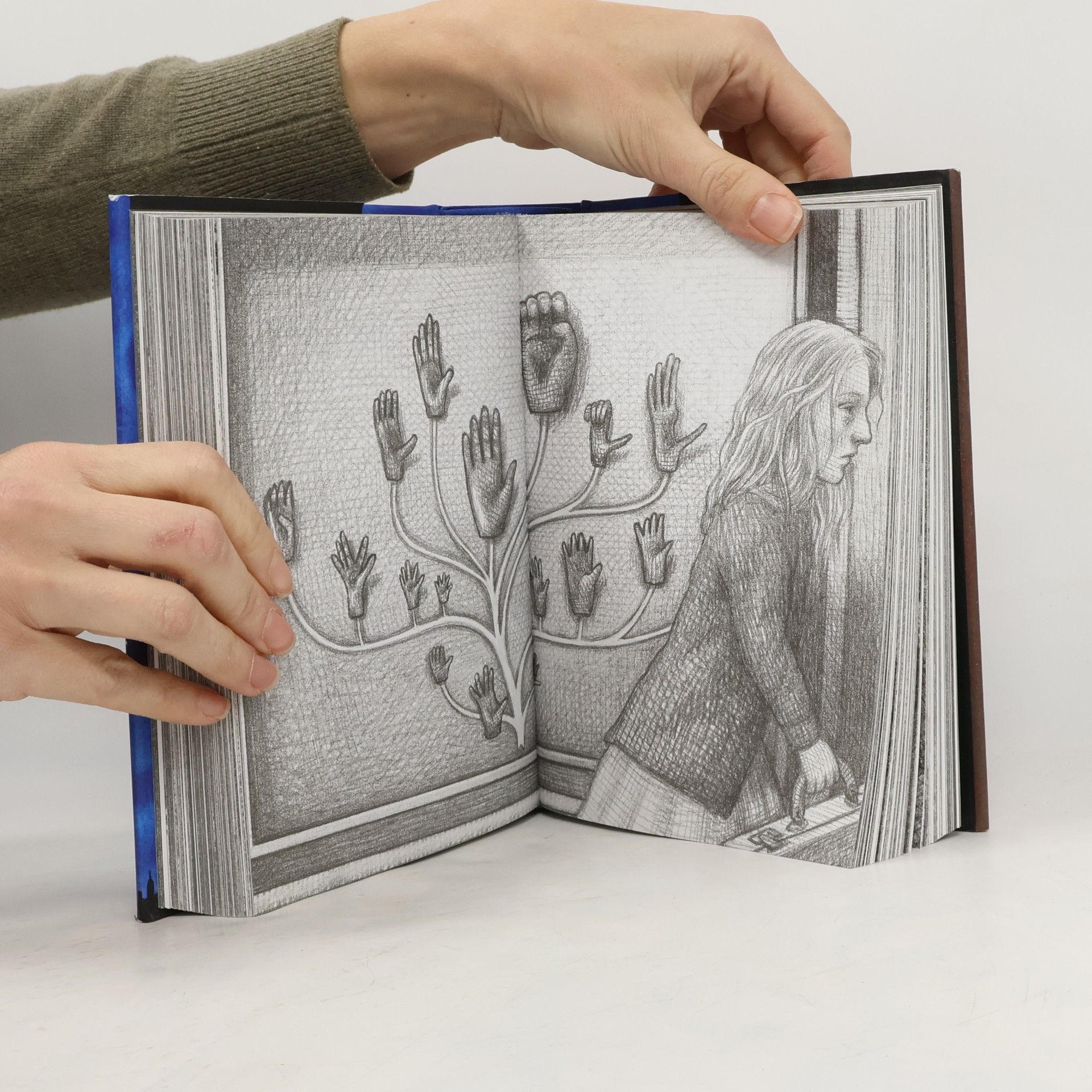 Brian Selznick Wonderstruck. A Novel in Words and Pictures
