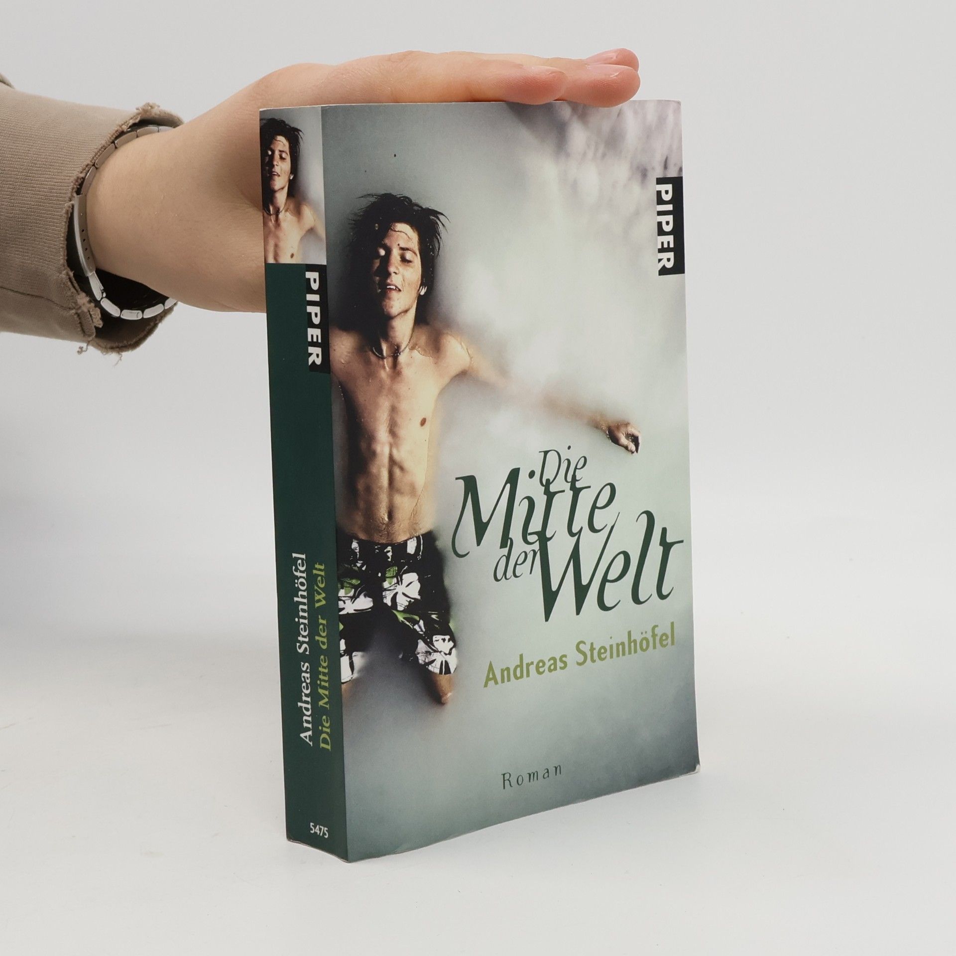 Andreas Steinhöfel Die Mitte der Welt