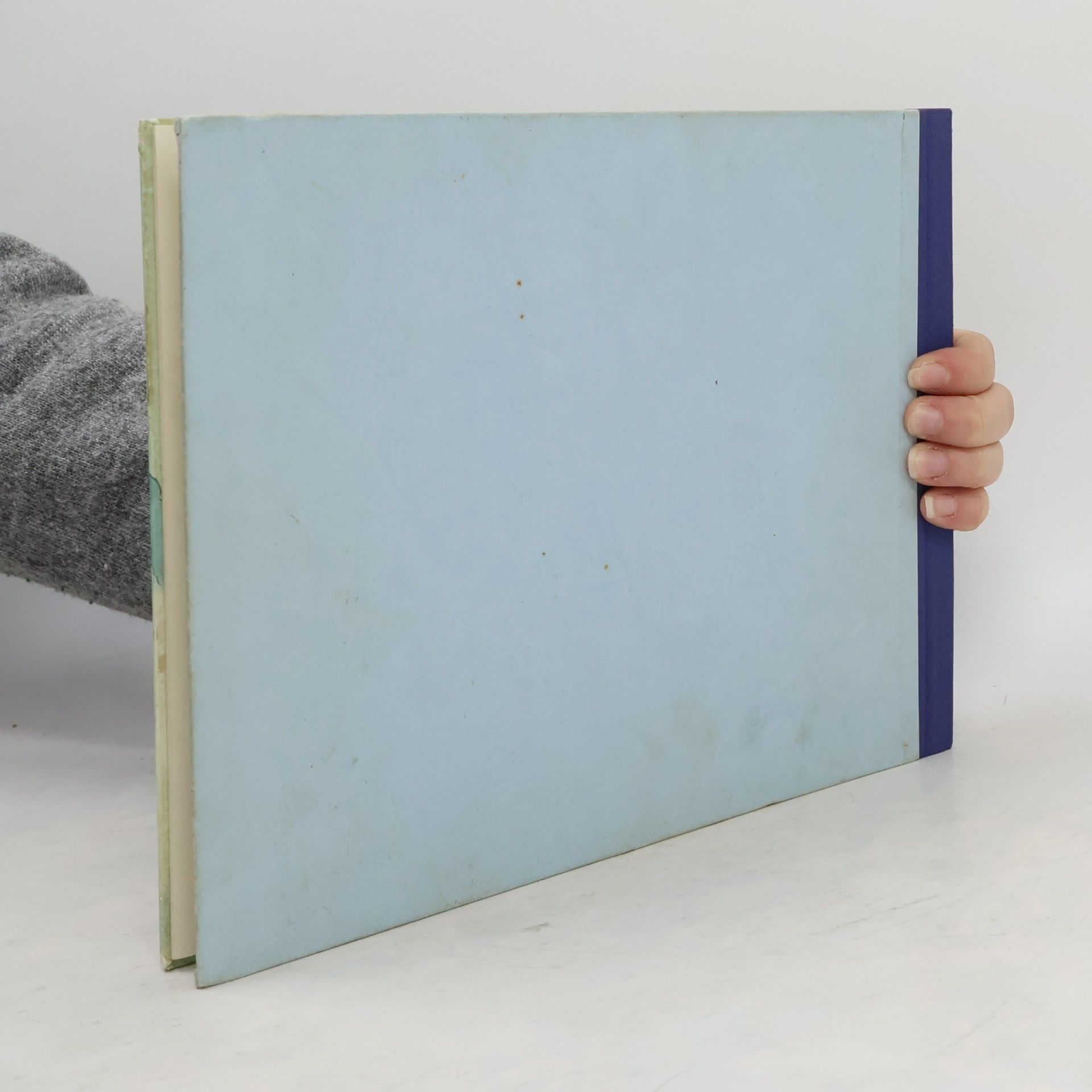 Fritz Baumgarten Teddys Weihnachten: Ein Bilderbuch von Fritz Baumgarten