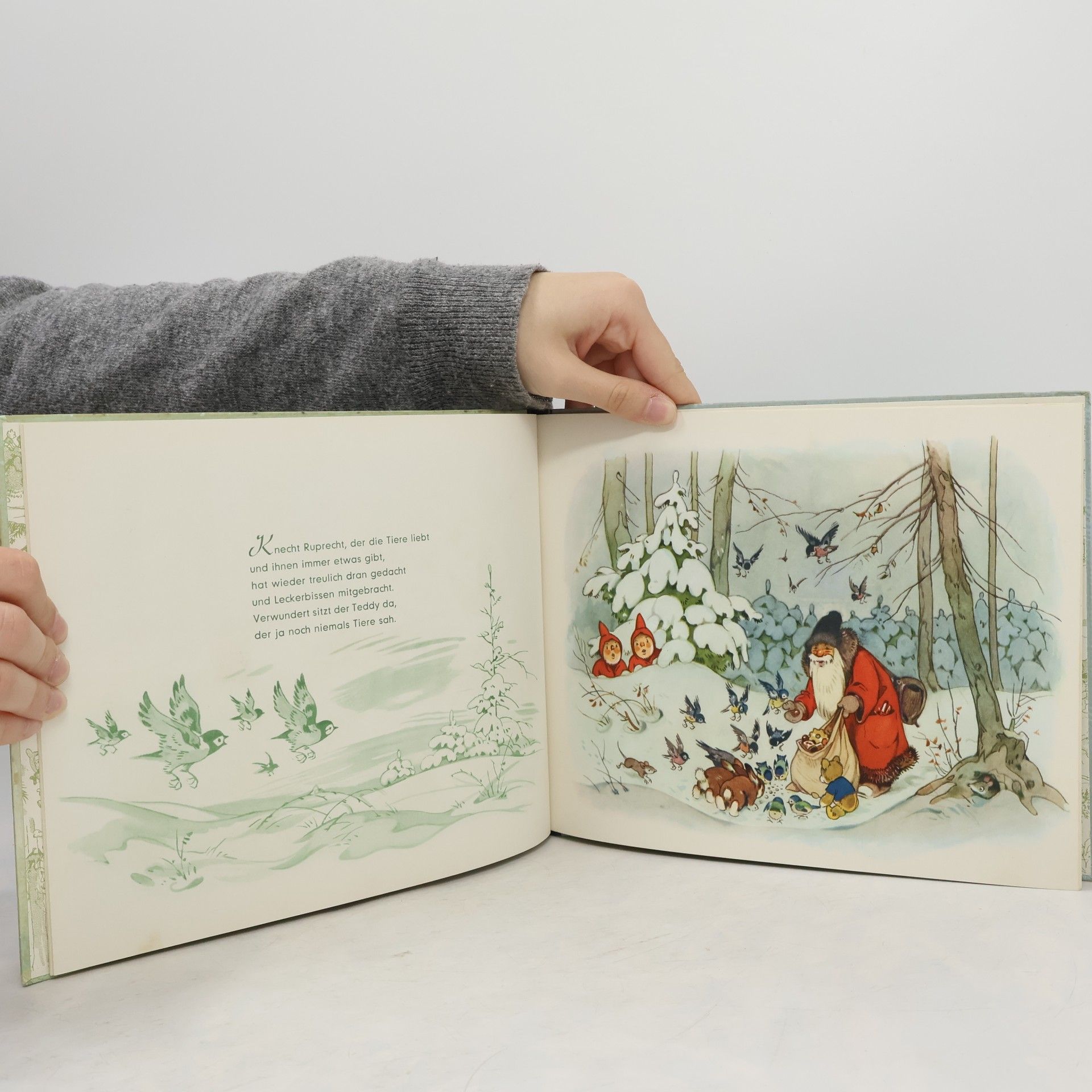 Fritz Baumgarten Teddys Weihnachten: Ein Bilderbuch von Fritz Baumgarten