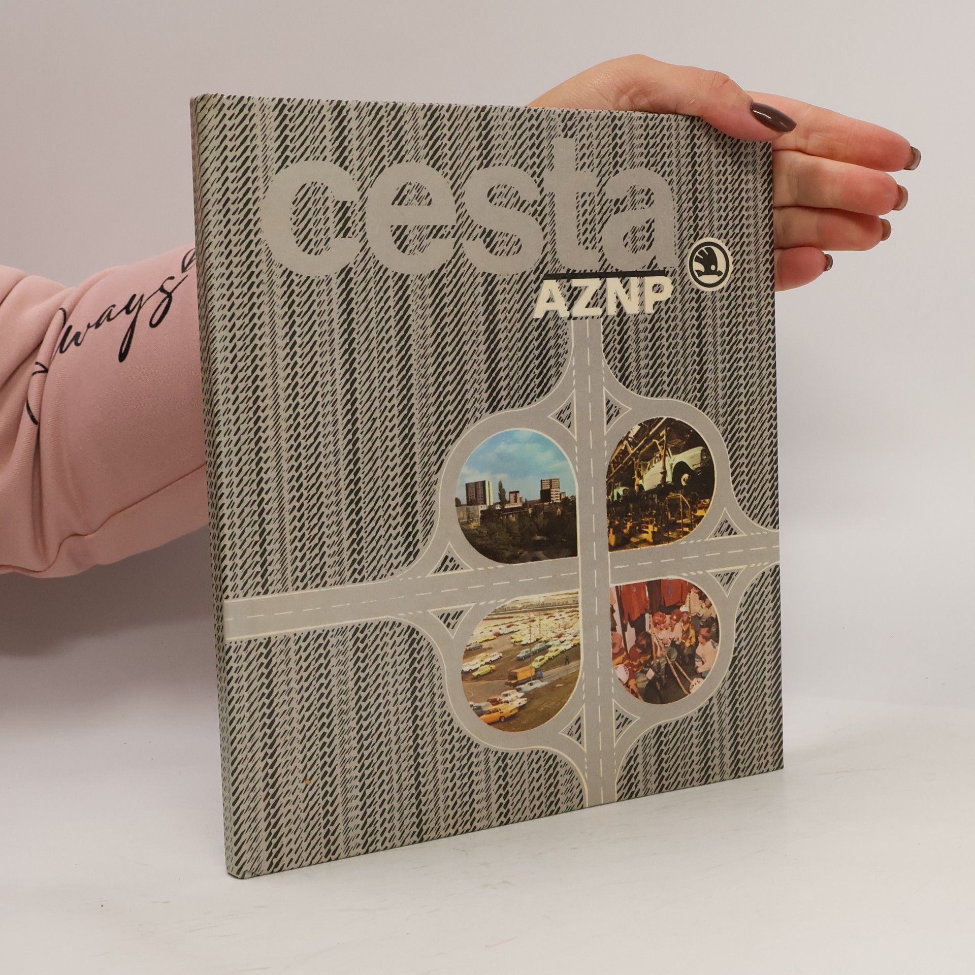 Autores varios Cesta AZNP
