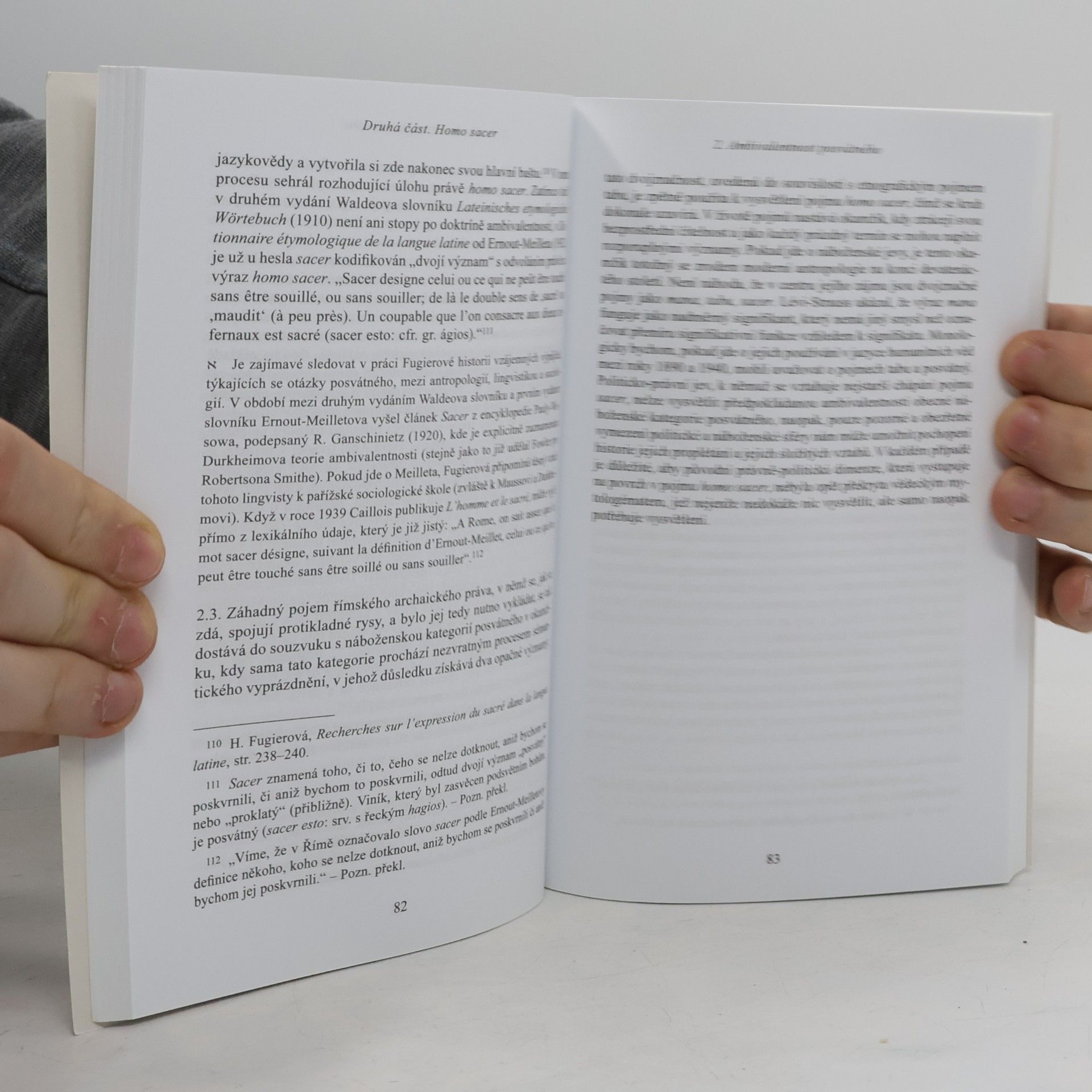 Giorgio Agamben Homo sacer