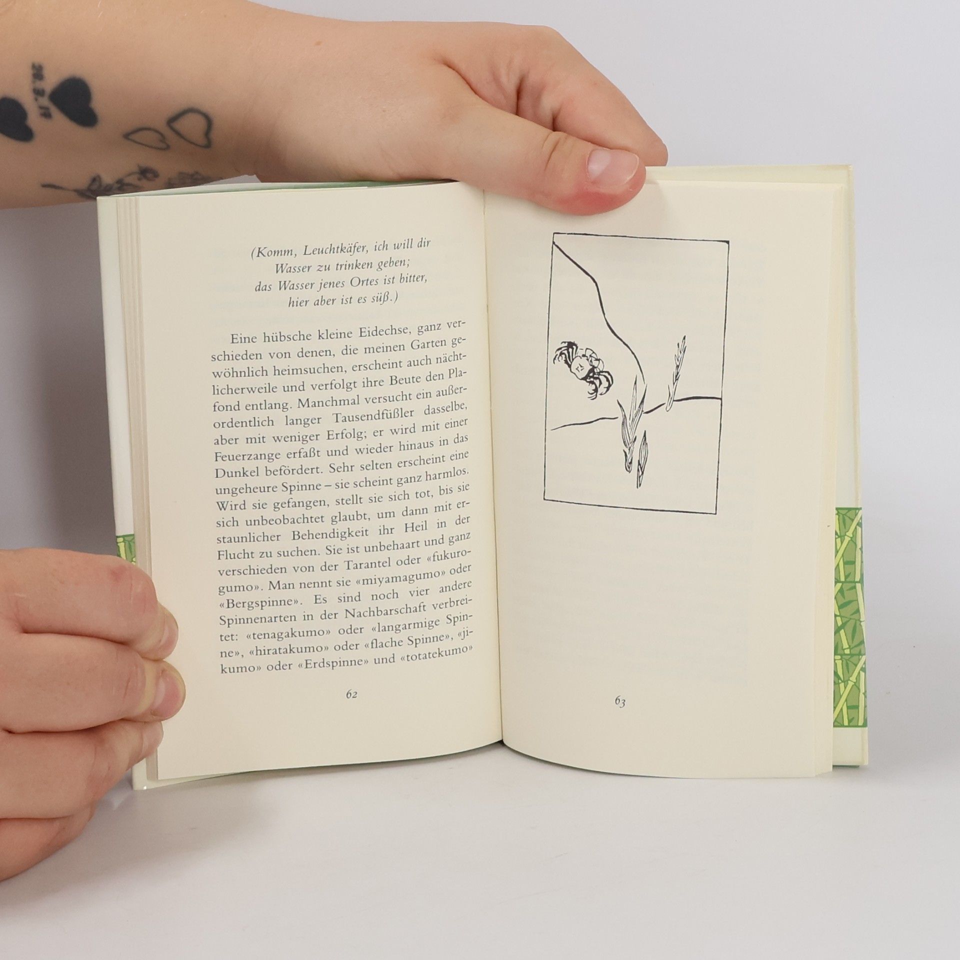 Lafcadio Hearn Manesse Bücherei - 39: In einem japanischen Garten