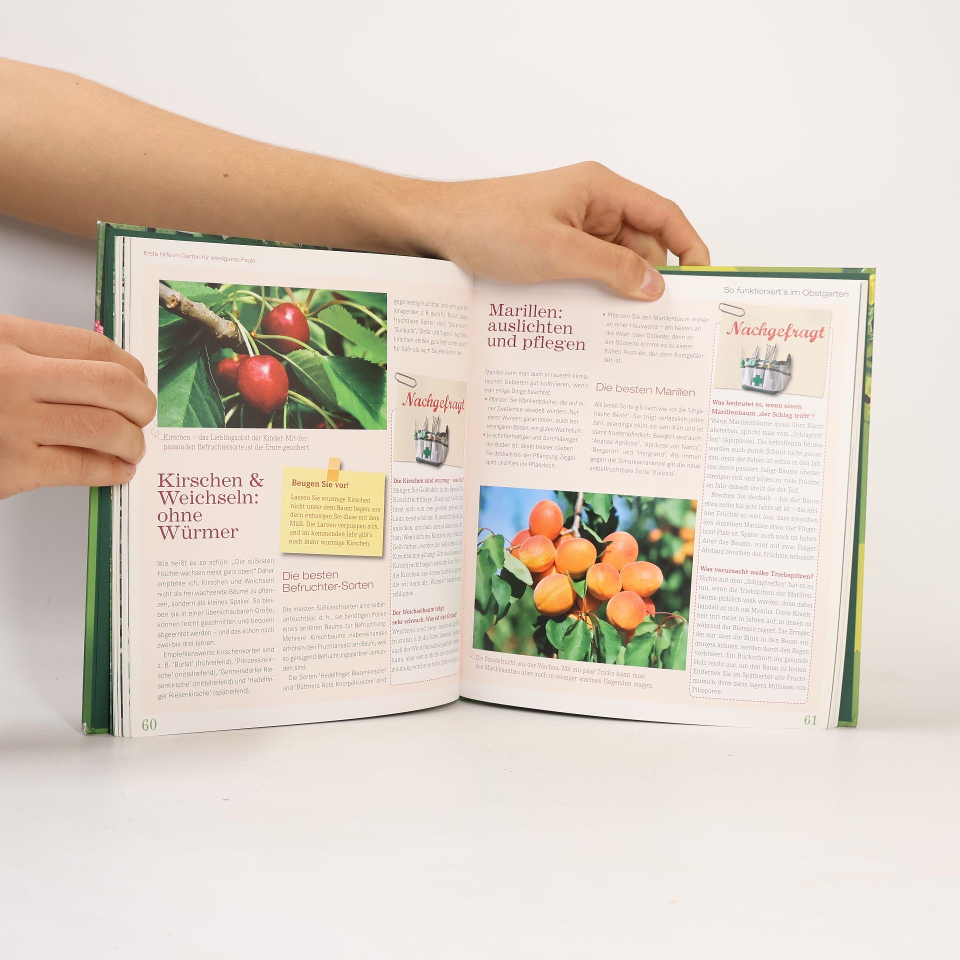 Karl Ploberger Erste Hilfe im Garten für intelligente Faule