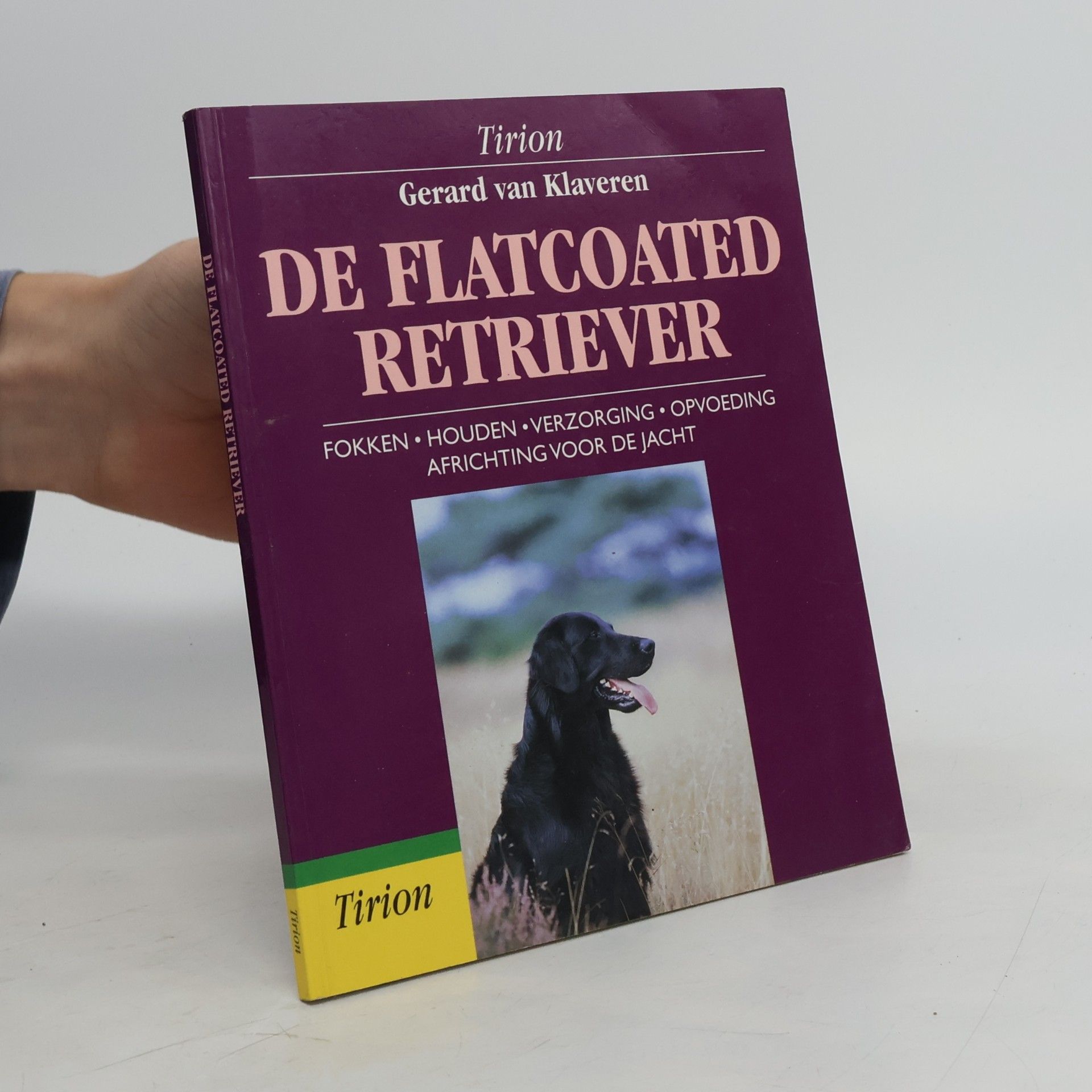 FLATCOATED RETRIEVER