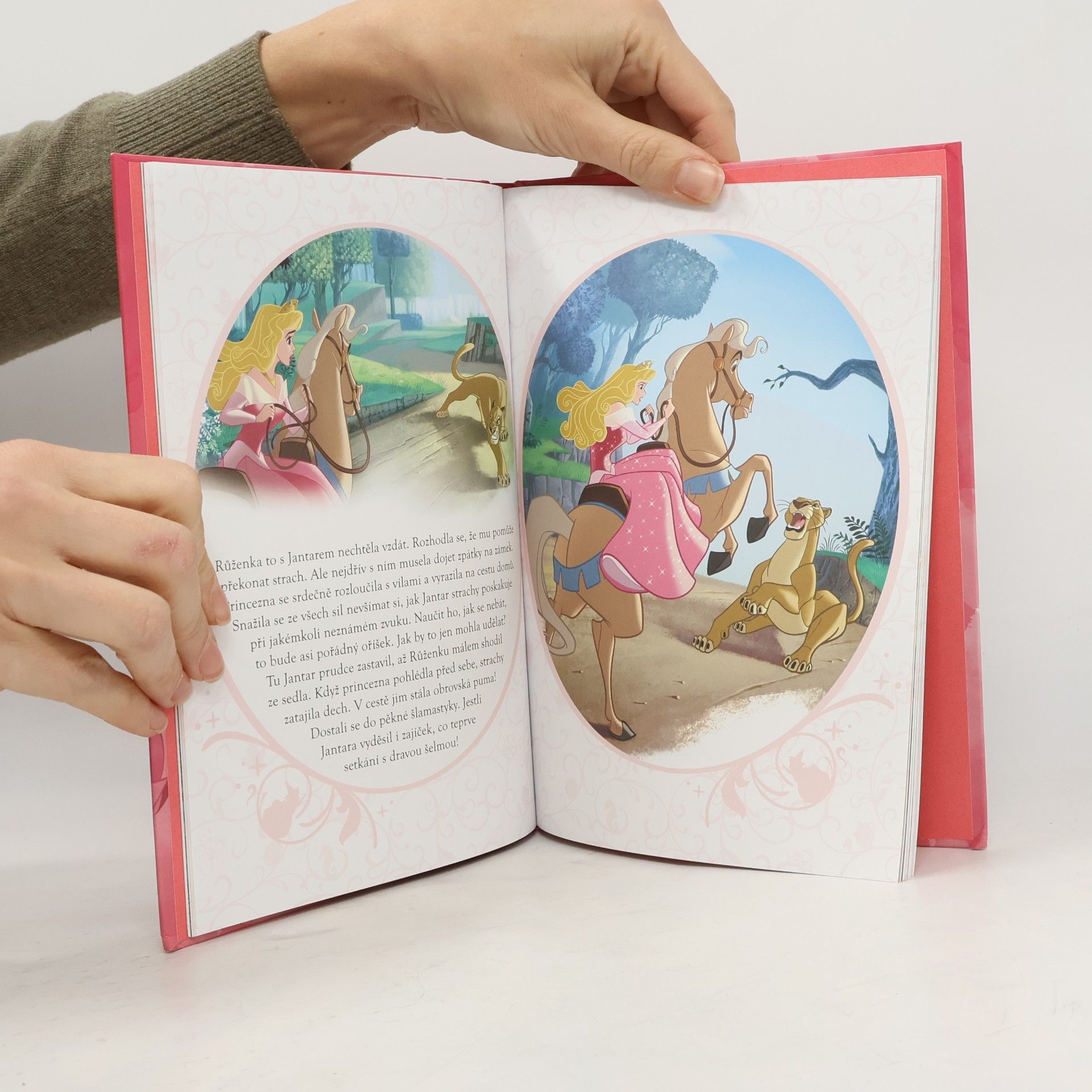Disney Storybook Artists Šípková Růženka