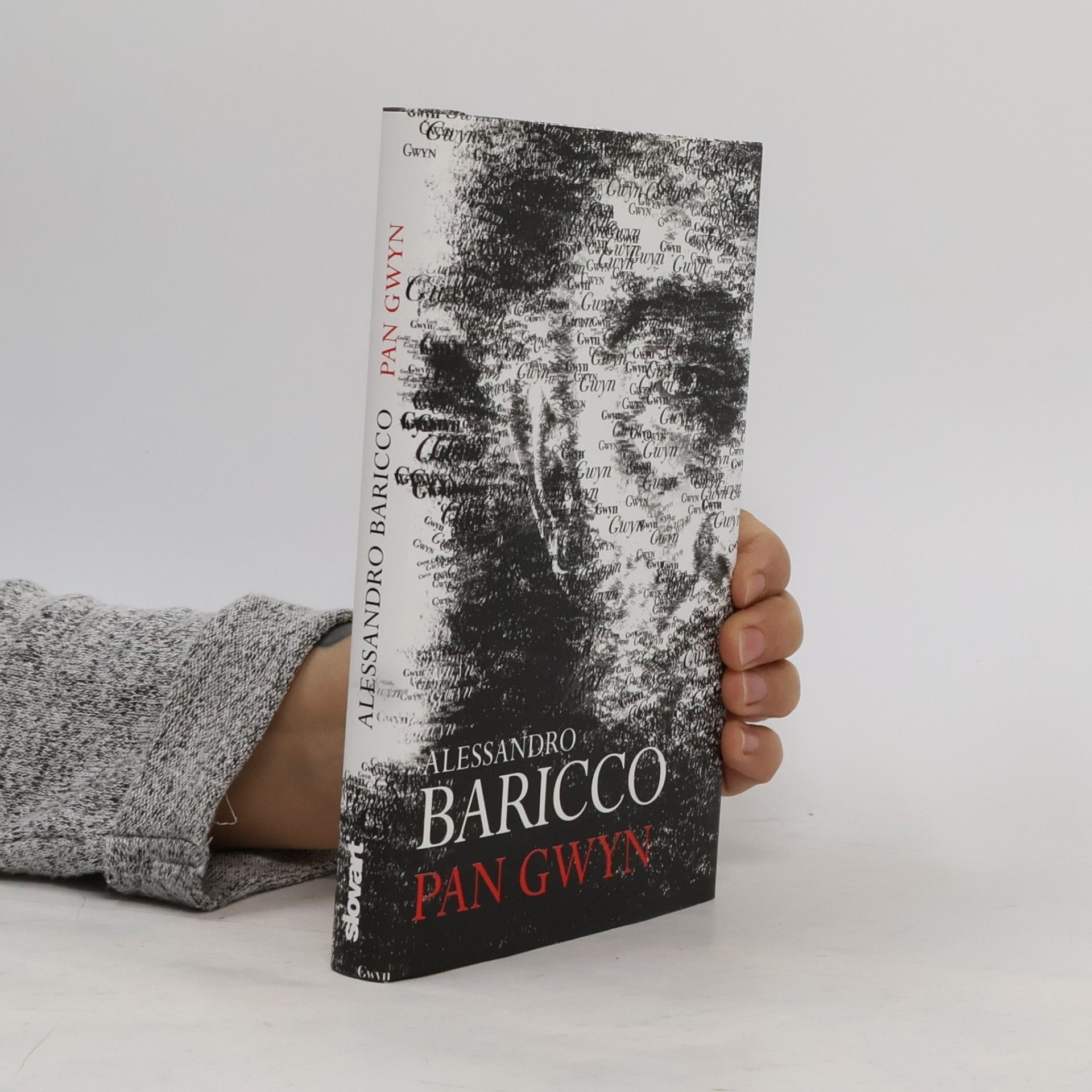 Alessandro Baricco Pan Gwyn