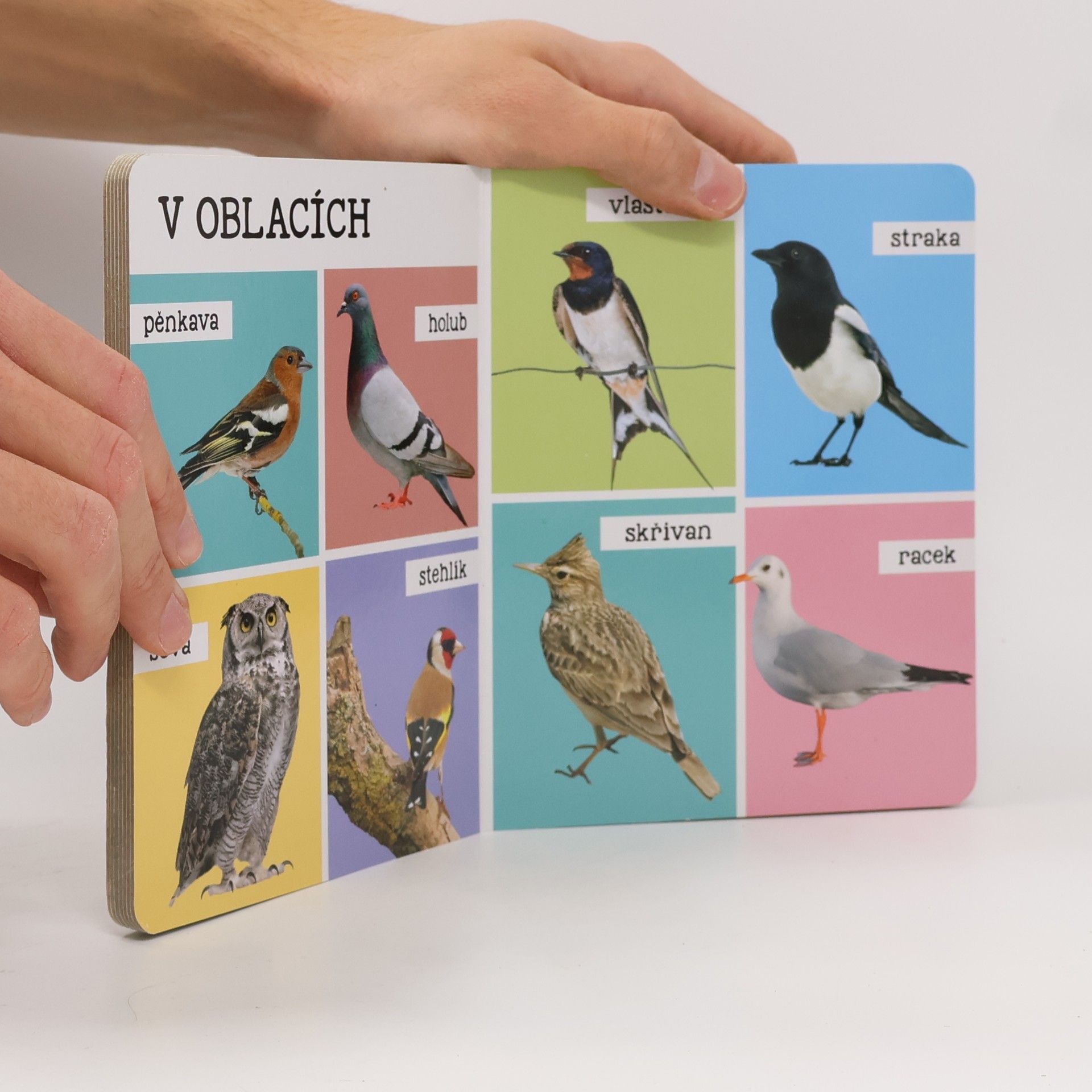 Autores varios Mých prvních 100 zvířat