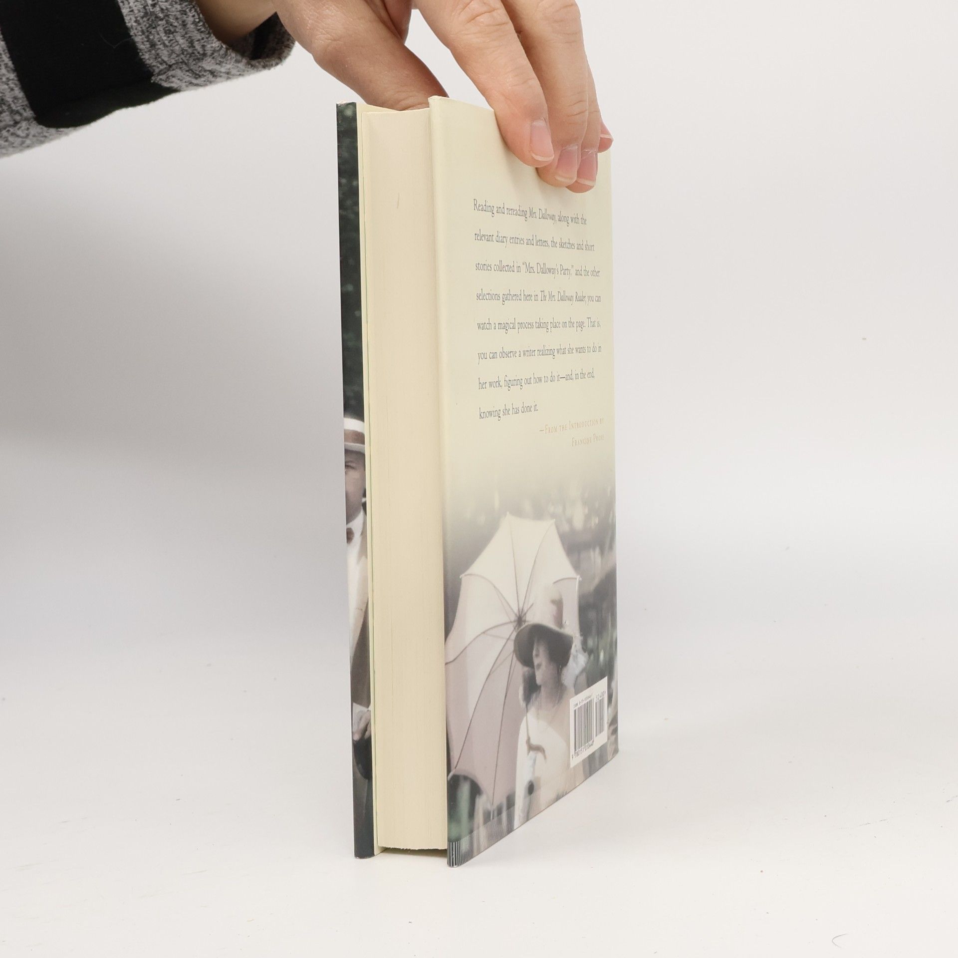 Virginia Woolf The Mrs. Dalloway Reader