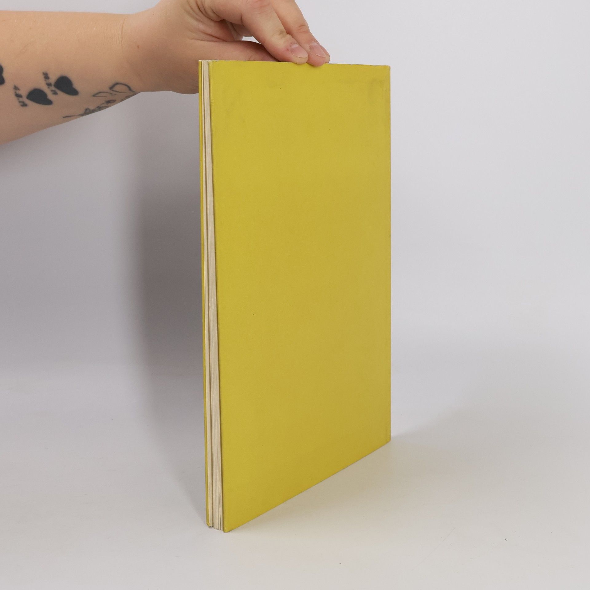 Georg Kurt Schauer Kleine Geschichte des deutschen Buchumschlages im 20. Jahrhundert