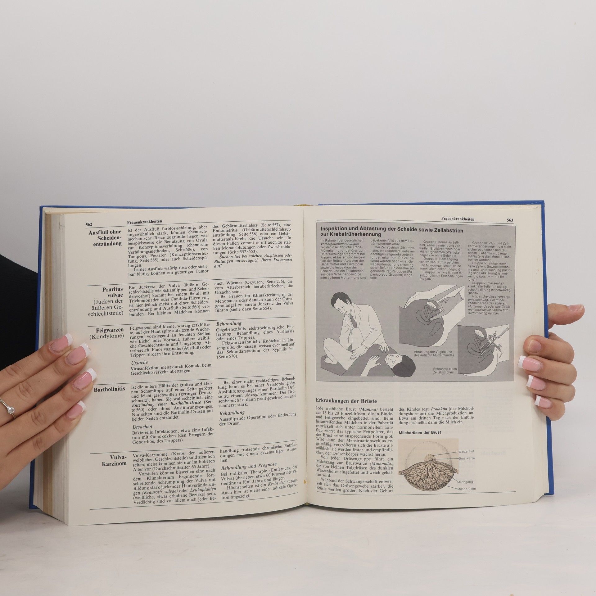 Autorenkollektiv Das neue Handbuch der Gesundheit für die ganze Familie