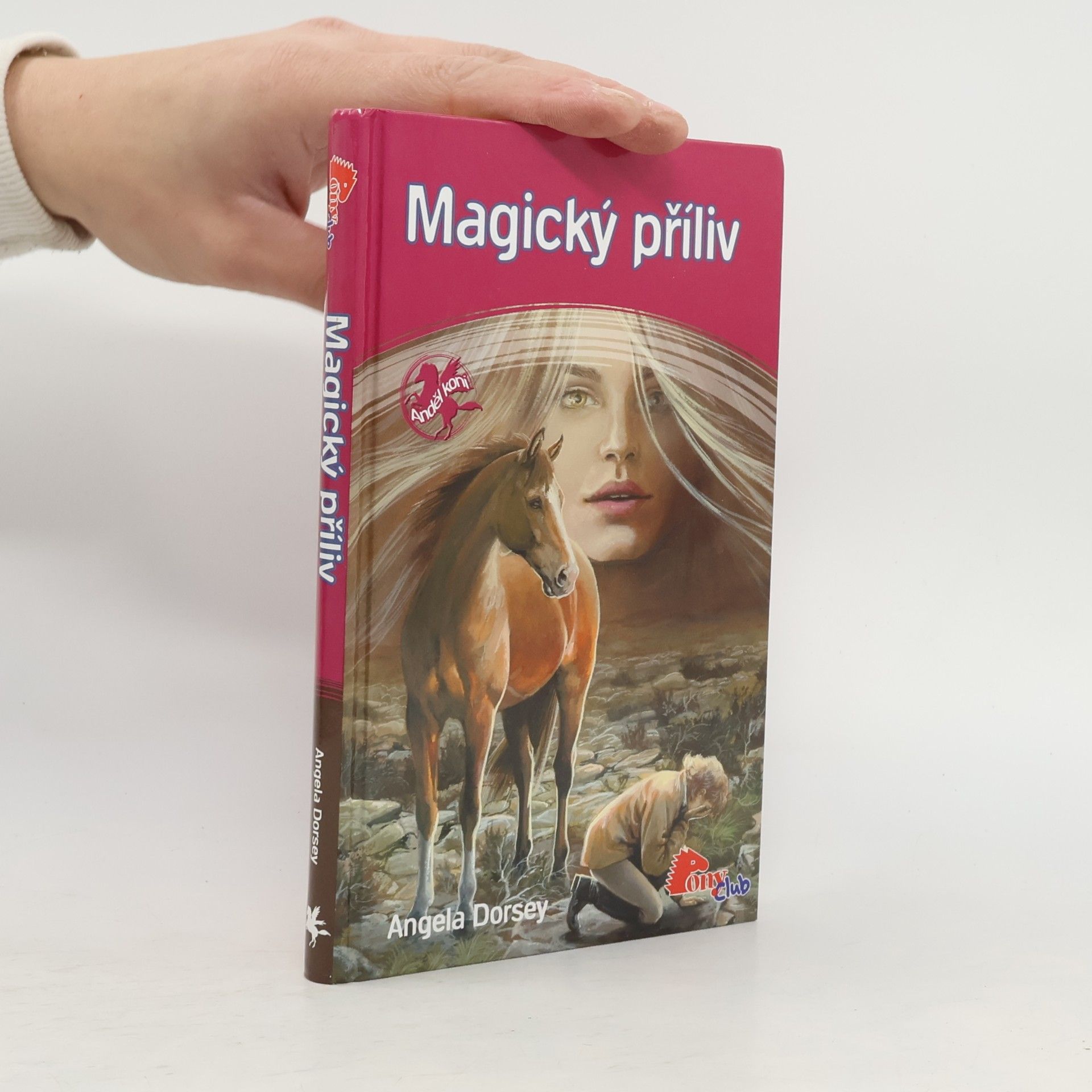 Angela Dorsey Magický příliv